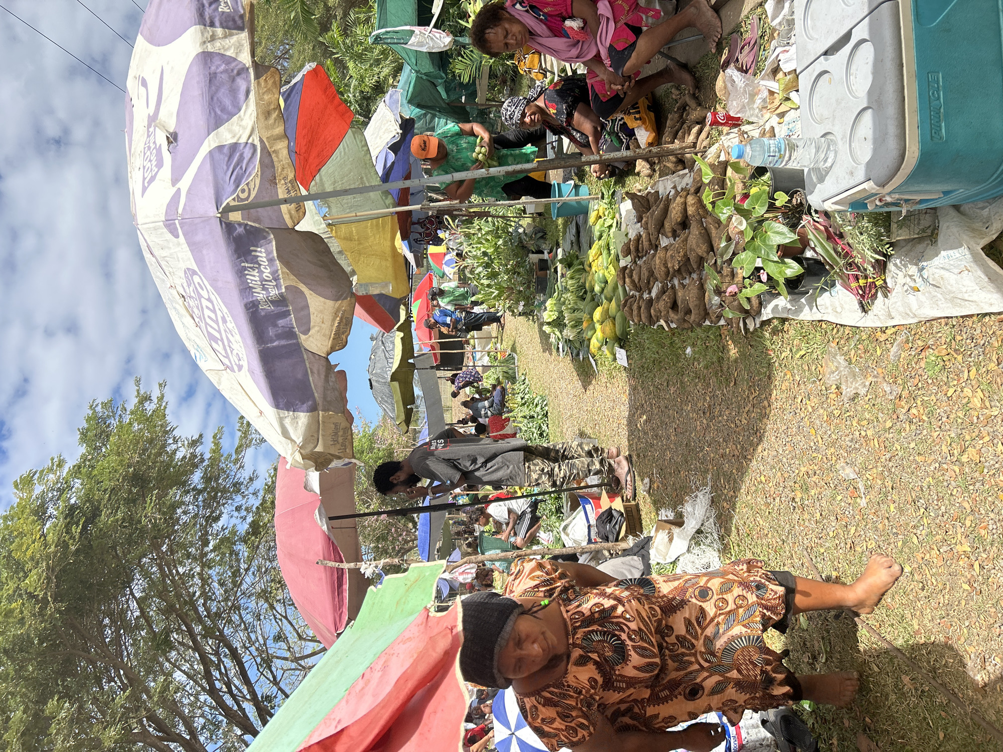 This image depicts a bustling outdoor market scene in the city of 9-Mile, Papua New Guinea. The market is characterized by numerous stalls covered by colorful umbrellas, offering protection from the sun. A variety of produce, including root vegetables and leafy greens, are displayed for sale on tarps spread on the ground. Several individuals are seen browsing and interacting at the stalls, with some vendors actively attending to their merchandise. The environment appears to be a typical marketplace with a dirt pathway, and lush green foliage visible in the background, suggesting a tropical setting. The presence of a cooler and bottled water indicates that provisions are available for shoppers and vendors alike. The overall atmosphere is one of lively commerce and community engagement within the Papua New Guinean urban landscape.