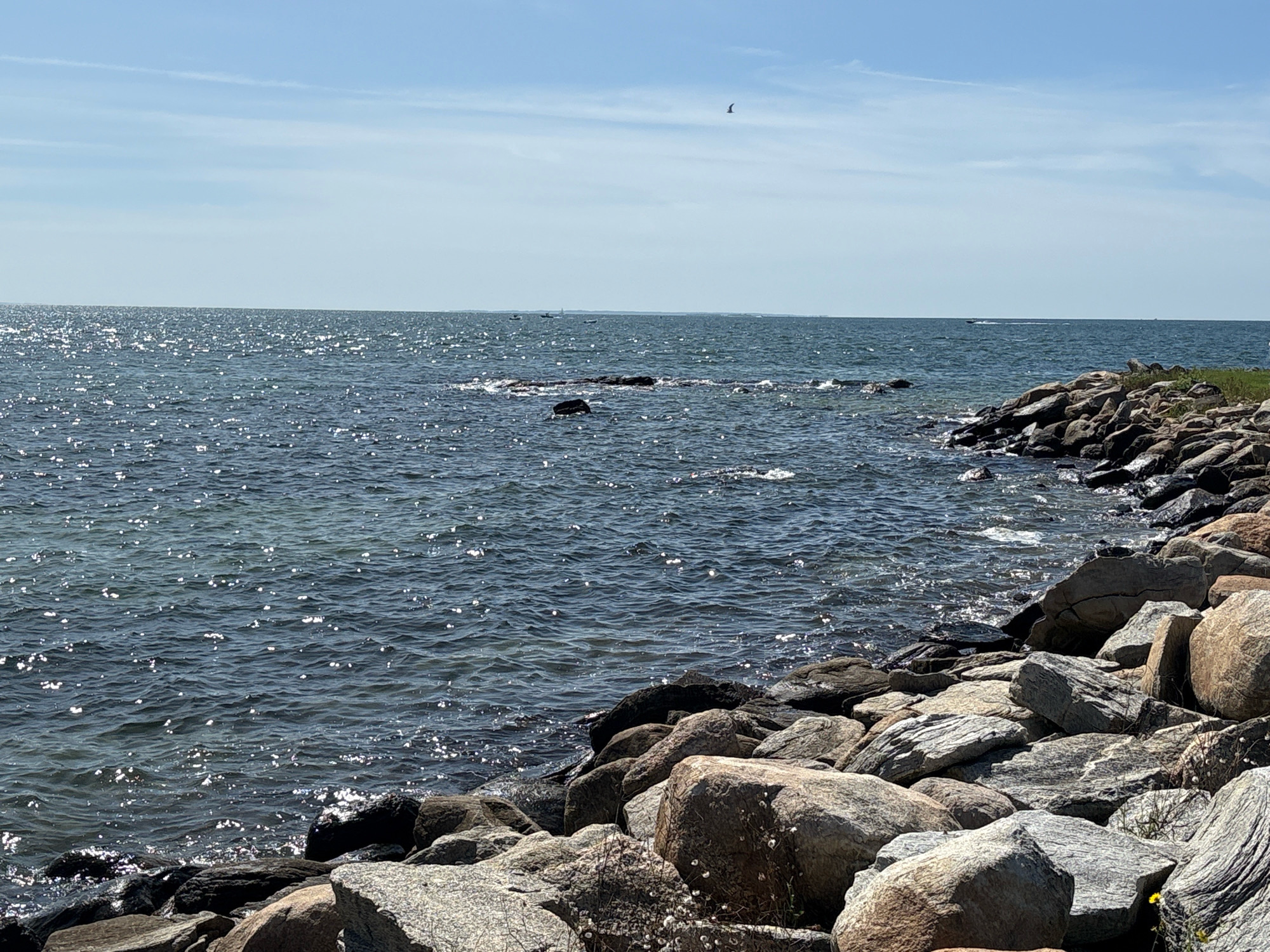 The image shows a rocky shoreline with the ocean on a bright, sunny day. The water is a deep blue with sparkling reflections from the sun. The shoreline is composed of numerous large, grey and brown rocks of various shapes and sizes. In the distance, there are several small boats on the water and a bird flying in the sky. The sky is a clear blue with a few wispy clouds. The scene appears to be a natural coastal landscape.