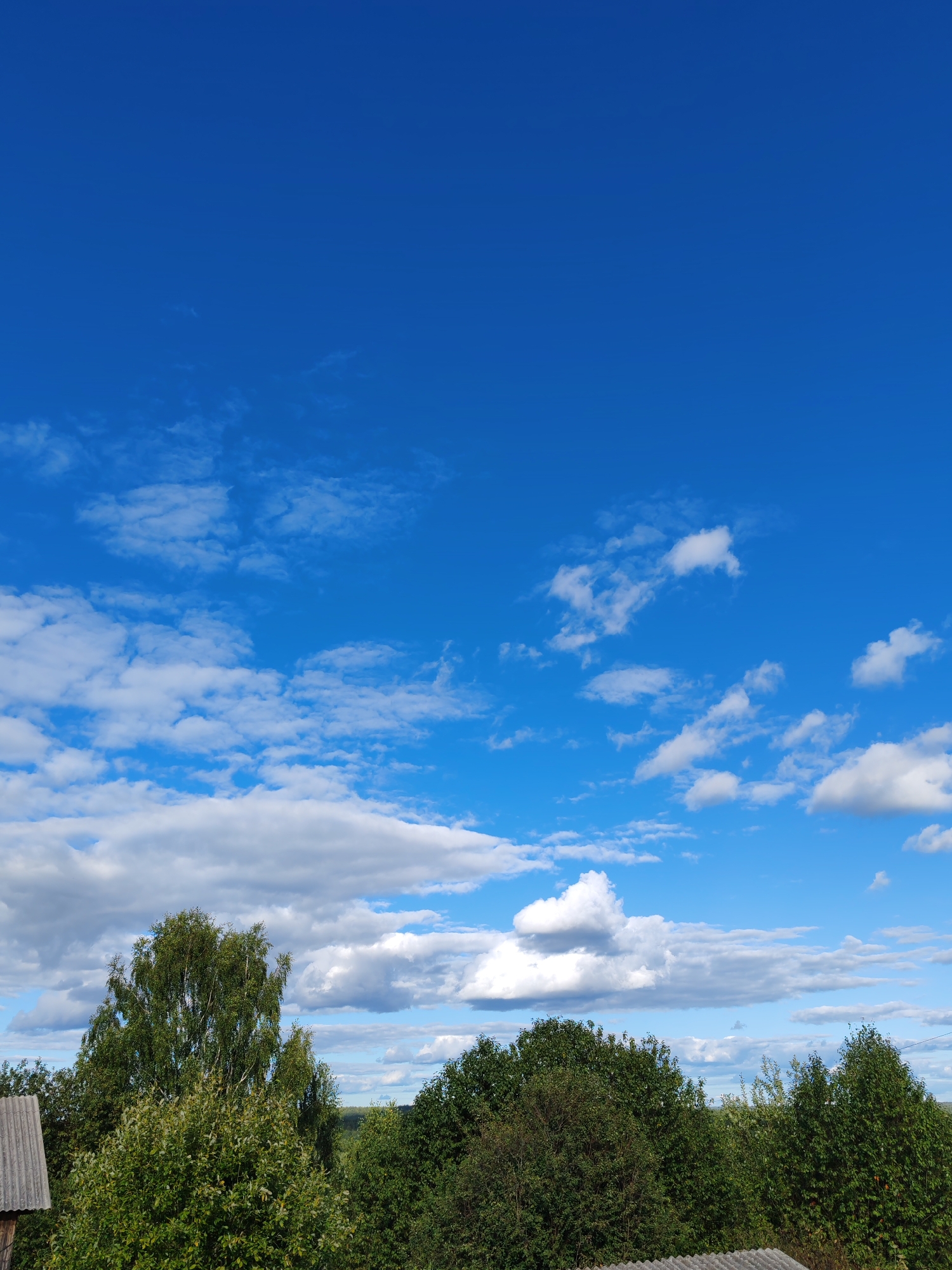 The image depicts a bright, clear blue sky with scattered white, fluffy clouds. The lower portion of the image features a dense canopy of lush green trees and foliage, suggesting a natural or rural setting. In the far left, a portion of a grey, corrugated roof is visible, indicating the presence of a building. The scene appears to be captured on a sunny day, likely in a rural area of Чухлэм, Russia, given the context provided. There are no people or animals visible in the frame.