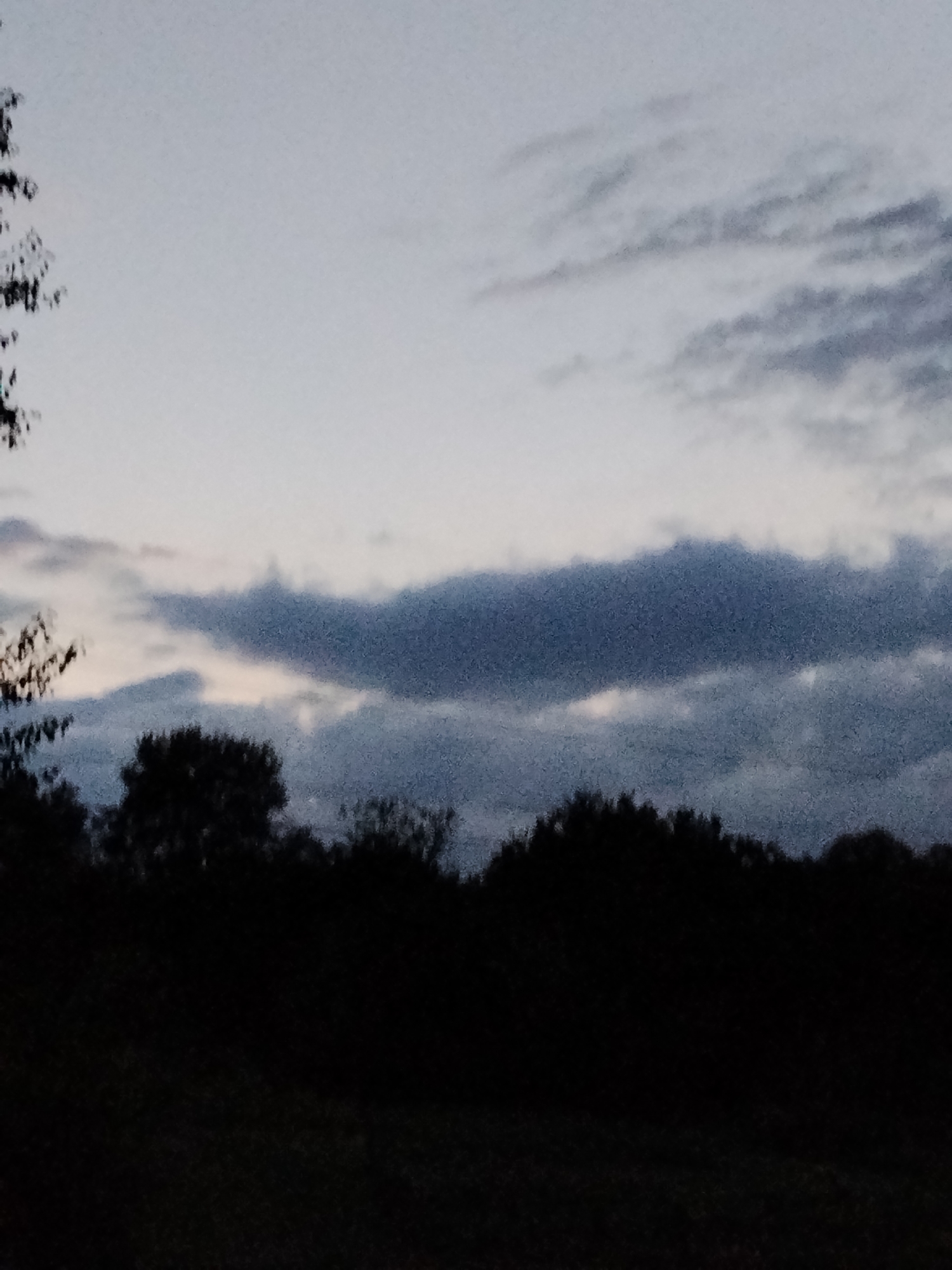 The image shows a dark silhouette of trees against a twilight sky with clouds. The sky is a pale blue with streaks of darker grey clouds. The foreground is entirely black, obscuring any ground detail. The image appears to be taken outdoors in a rural or natural setting, possibly Ustyvytsia, Ukraine, given the context. There are no people or specific objects identifiable in the scene, only the natural elements of trees and sky.