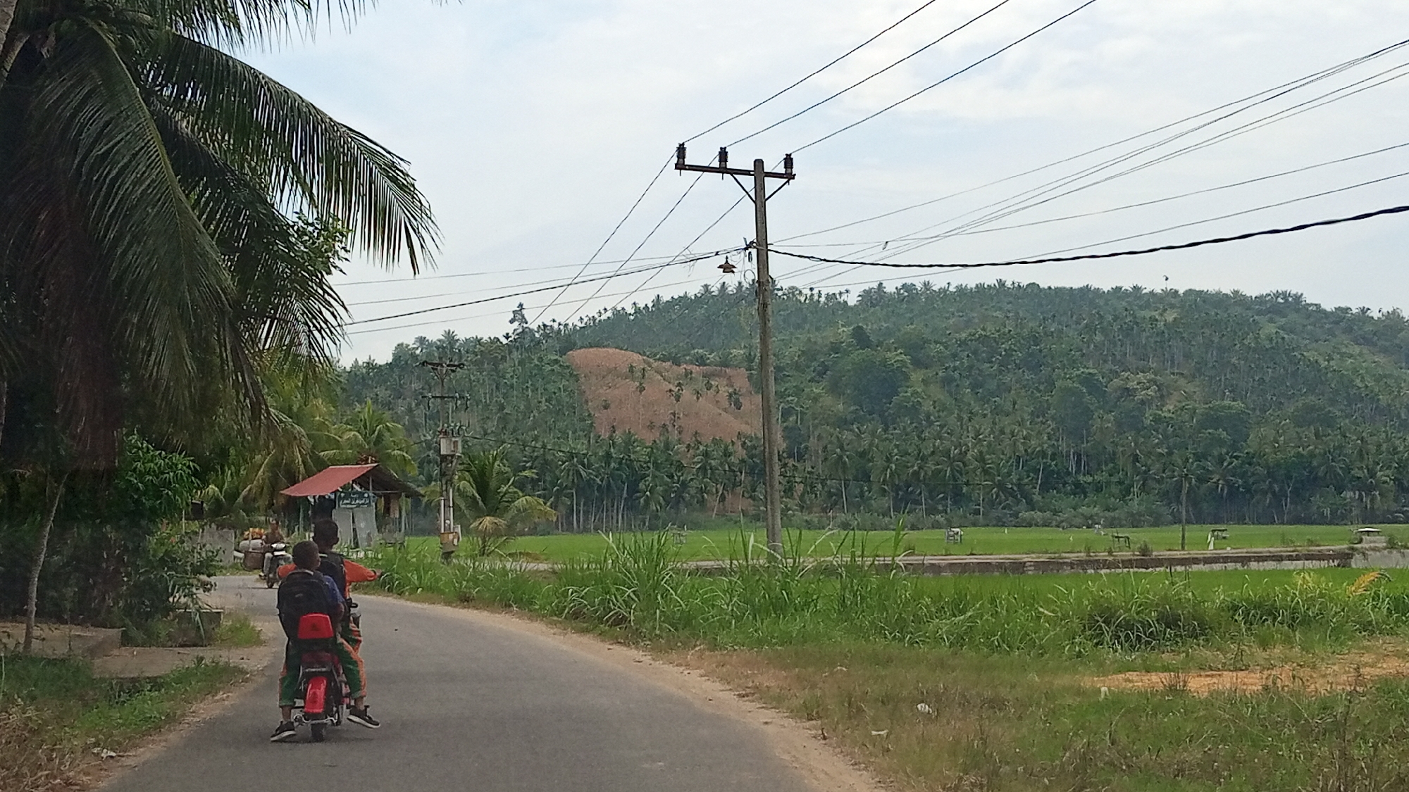 In Aluekrueb, Indonesia, a rural scene unfolds with a paved road curving through lush greenery. Two individuals are riding on a red motorcycle, the person in the back wearing a backpack. To the left of the road, a small open-sided structure with a red roof is visible, partially obscured by a tall palm tree. Beyond the motorcycle and structure, a vast field of vibrant green rice paddies stretches towards a densely forested hillside. The hill is covered in numerous palm trees, with a noticeable patch of exposed brown earth indicating a landslide or construction site. Overhead, a complex network of power lines crisscrosses the sky, supported by wooden utility poles, one of which features a light fixture. The sky is overcast with scattered clouds.