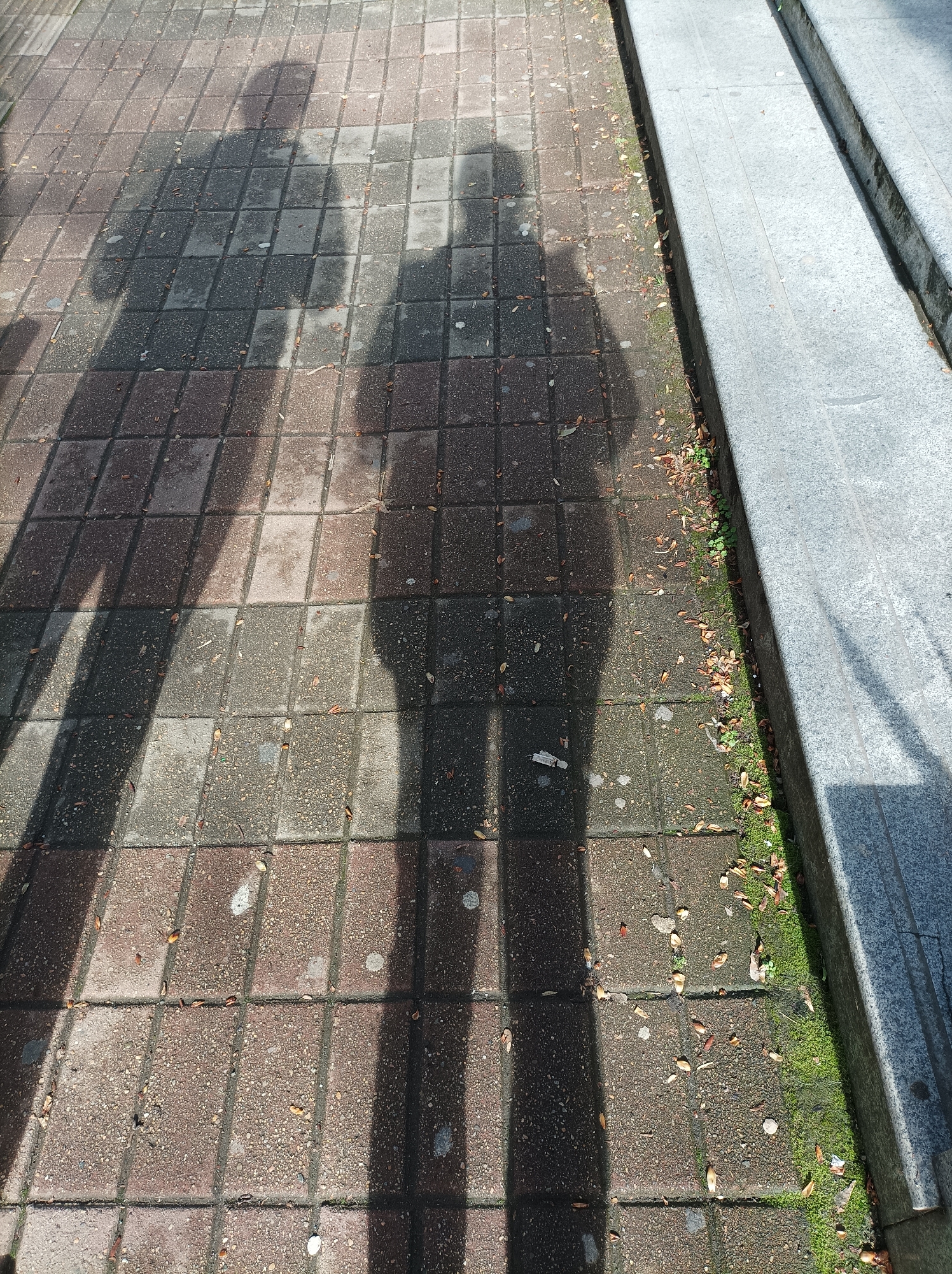 Two shadows of individuals are cast on a brick-tiled sidewalk, adjacent to a set of concrete steps. The sidewalk is littered with fallen leaves and occasional debris. The location is identifiable as being within the city of Batumi, Georgia, as implied by image context.