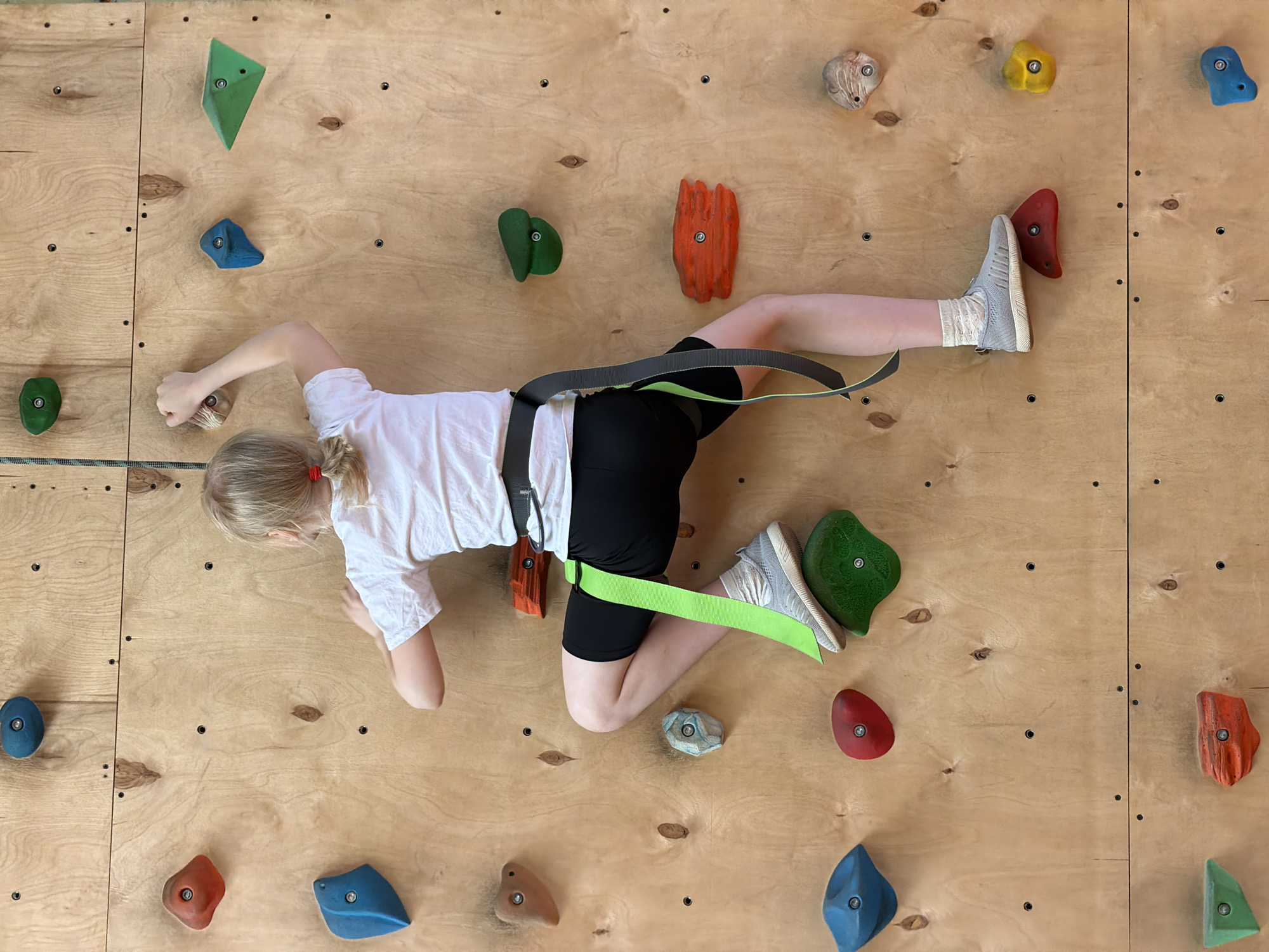 A young blonde girl is captured mid-action on a climbing wall in an indoor setting, likely in Izhevsk, Russia. She is positioned horizontally across the light wooden wall, demonstrating her reach and balance. The girl, with her blonde hair tied back with a red band, is wearing a white short-sleeved t-shirt, black shorts, white ankle socks, and light grey athletic shoes. A black and bright neon green climbing harness is securely fastened around her waist and legs, suggesting a focus on safety during the activity.
Her body is stretched out, with her left hand gripping a small, natural-colored rock hold near her head. Her right leg is fully extended, and her foot is firmly placed on a large, vibrant green climbing hold. Her left foot is also on a red hold, contributing to her stable but dynamic posture.
The climbing wall itself is constructed from light-colored wooden panels, featuring visible wood grain and numerous pre-drilled holes for attaching holds. Scattered across the wall are various plastic climbing holds of different shapes, sizes, and colors, including shades of green, blue, red, orange, yellow, and grey/beige. The scene conveys an active and engaging moment of a child participating in rock climbing, emphasizing strength and coordination. There is no visible text in the image.