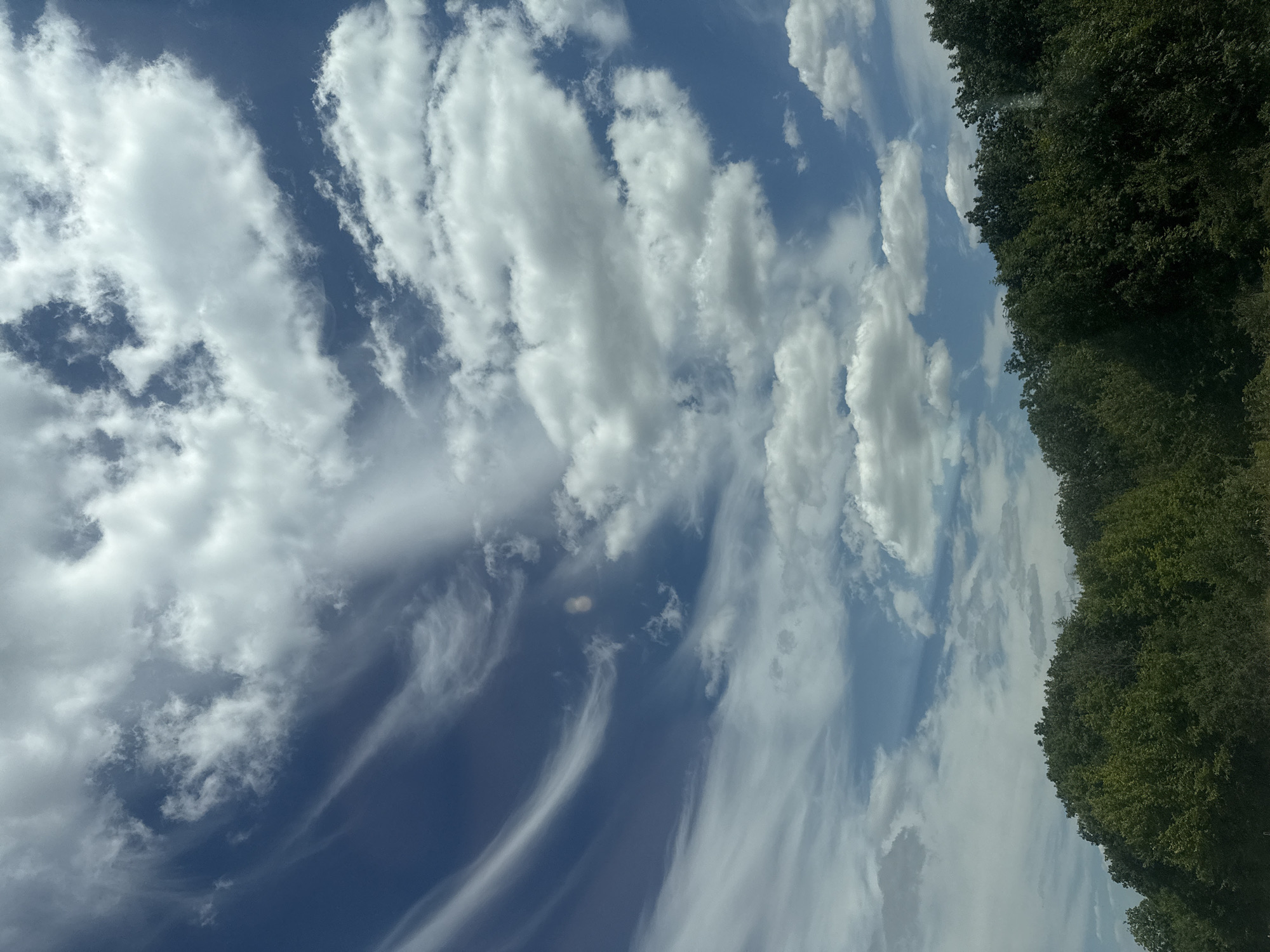 The image shows a cloudy blue sky over a dense line of green trees. The clouds are varied in appearance, with some appearing wispy and thin, while others are thick and fluffy. The trees form a dark green band across the bottom third of the image, suggesting a hilly or elevated terrain. There are no people or visible structures in the image. The scene is likely an outdoor, natural environment, possibly a forest edge or a rural landscape. The location is identified as Razeni, Moldova.