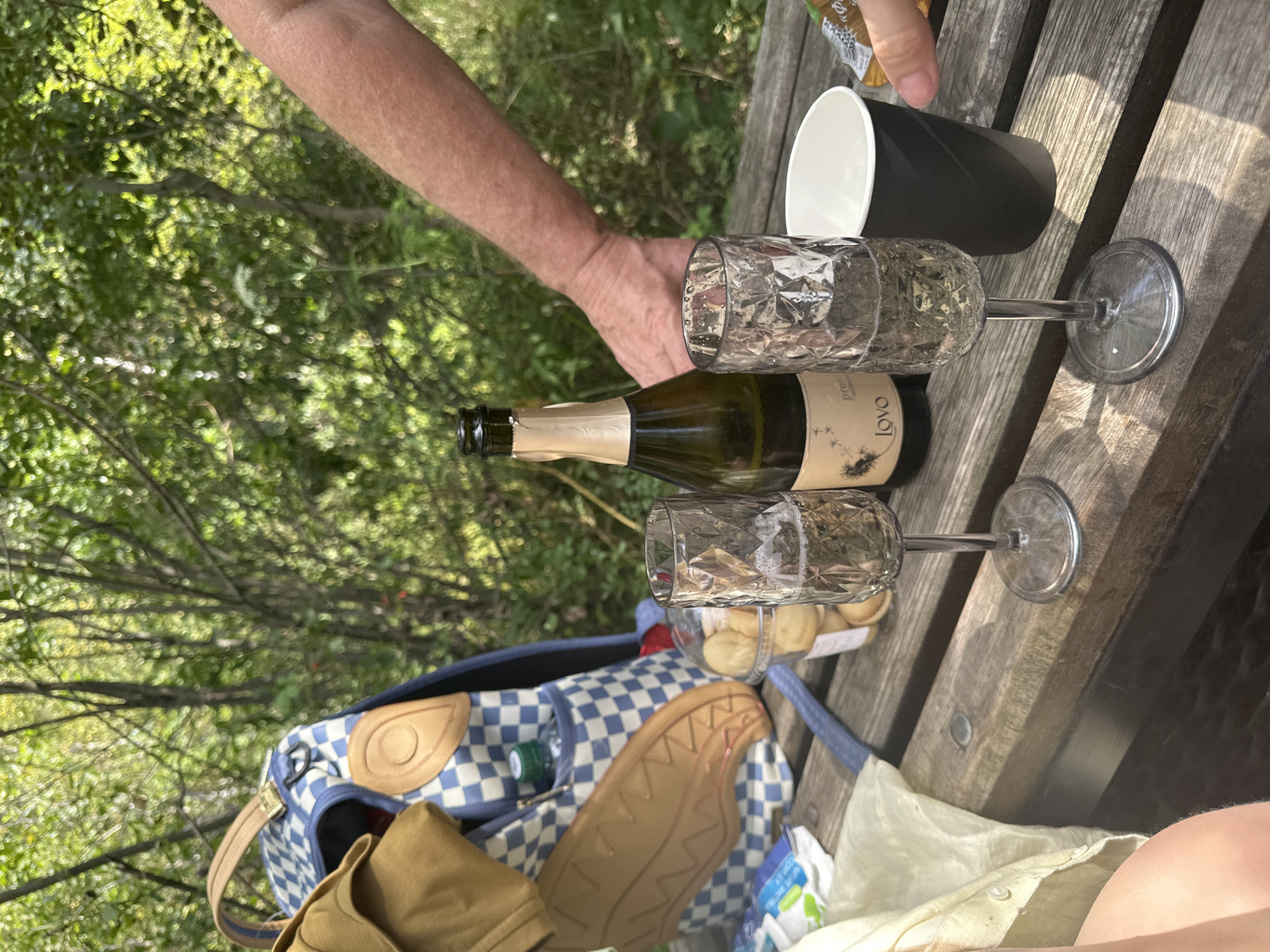 A high-angle medium shot captures a picnic scene outdoors, likely in a wooded area given the blurred green foliage in the background. The focus is on a wooden picnic table where a bottle of sparkling wine, two glasses of wine, a container of cookies, and a black paper cup are arranged. A blue and white checkered backpack is partially visible on the left, along with a beige jacket draped over it. A person's arm and hand are visible on the right side of the frame, reaching towards the paper cup. The overall mood is relaxed and informal, suggesting a leisurely outing.