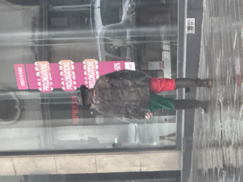 An individual is depicted from behind, standing on a wet, dark gray pavement in an urban setting. The person wears a dark fedora-style hat, a dark, patterned jacket, and distinctly bifurcated trousers: the left leg is green, and the right leg is red. Dark, knee-high boots complete the attire.
In front of the person is a large shop window reflecting indistinct vehicles and architecture. Inside the window, a prominent, vertical pink banner is displayed, featuring text in French. Visible phrases include "JUSQU'AU 10 FÉVRIER" (Until February 10) at the top, followed by multiple repetitions of "PROLONGATIONS" (Extensions), with portions of "SOLDES" (Sales) also discernible, indicating a sales event. The wet pavement reflects the sky and surrounding light, suggesting recent rain. The French language on the commercial signage and the general urban architecture strongly indicate the location is a city in France, specifically Paris, due to typical commercial street appearance.