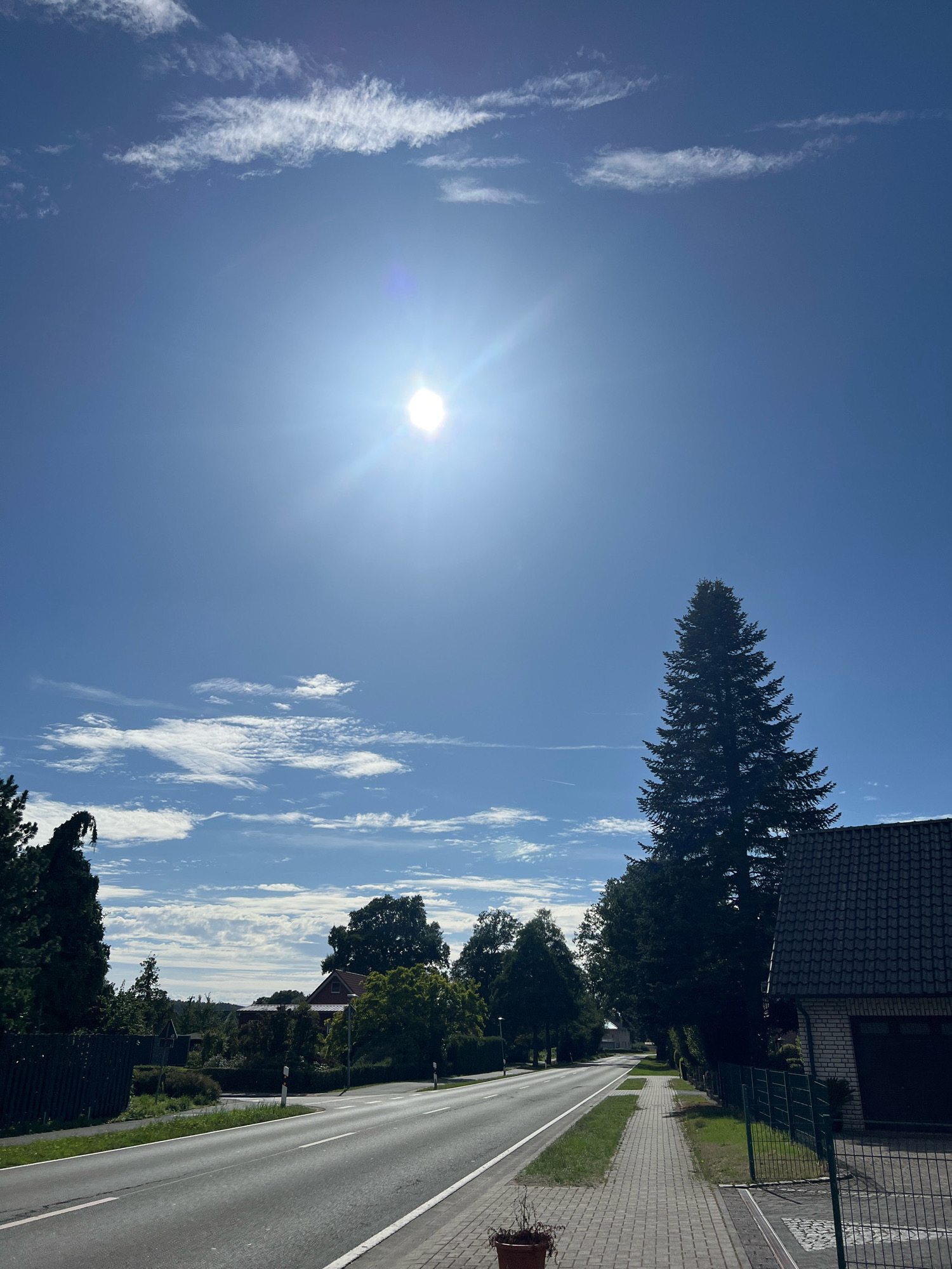 An outdoor, eye-level, medium shot captures a sun-drenched residential street with a clear blue sky. The sun is prominently positioned in the upper center of the frame, emitting bright rays and a lens flare. Wispy white clouds streak across the sky. On the right side of the image, a tall, dark green evergreen tree stands beside a dark-tiled roof of a brick house with a garage. A green metal fence runs along the property line. A paved sidewalk, made of interlocking gray bricks, runs alongside the street. On the left side, a black metal fence borders a lawn and a variety of trees, including some with dense foliage and others that are more sparse. A red-tiled roof of a house is visible amongst the trees. The road, a grey asphalt surface with white lane markings, curves gently into the distance. A few scattered, low-lying white clouds are visible in the lower portion of the sky.