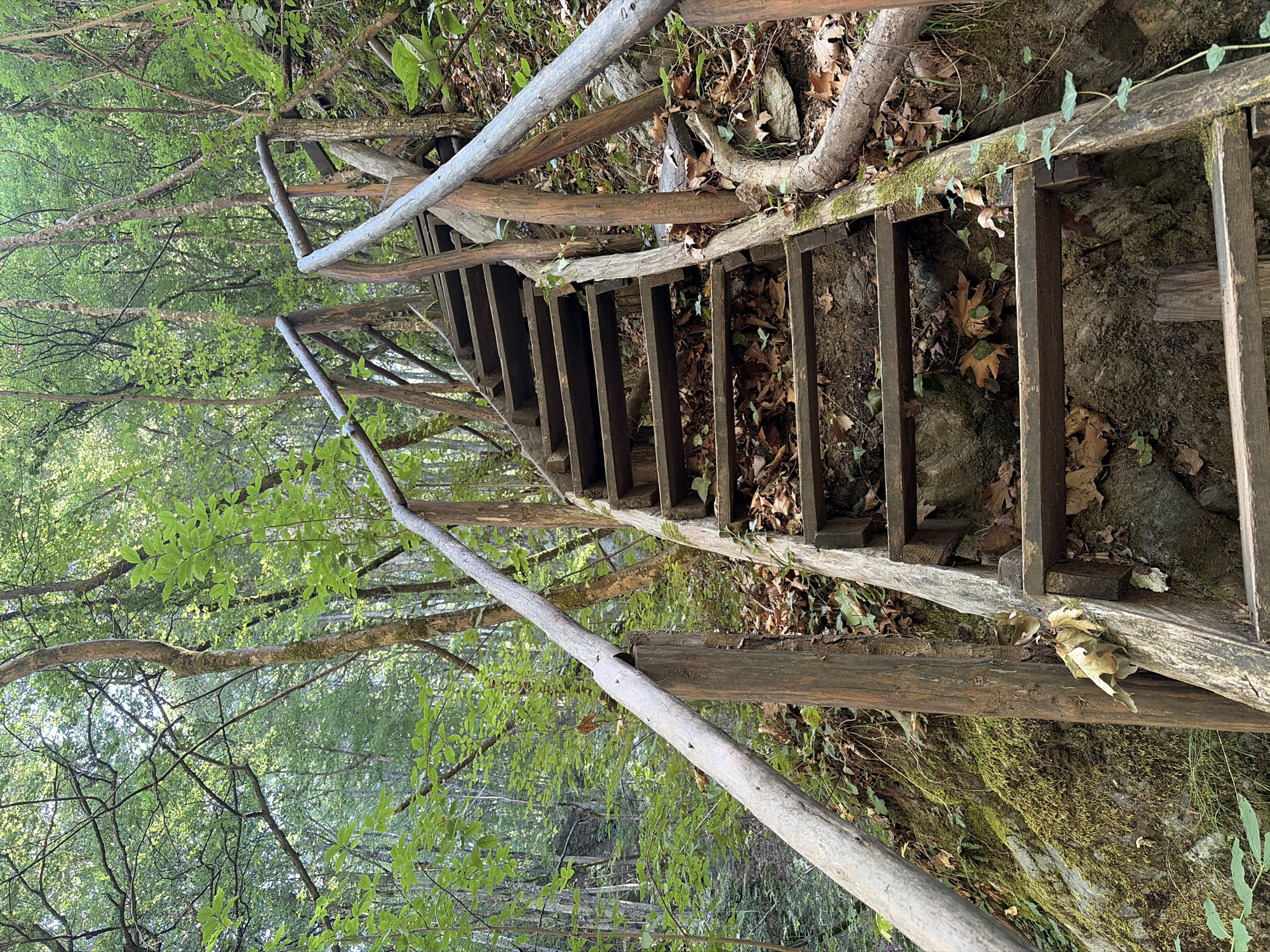 This is a photograph of a wooden staircase in a forest. The stairs are weathered and show signs of age, with fallen leaves scattered on them and moss growing on the sides. The staircase is flanked by wooden railings made of rough-hewn logs. The surrounding environment is lush and green, with dense trees and foliage. The image appears to be taken on a sunny day, with light filtering through the leaves. The location is described as the city of Samuilovo, Bulgaria.