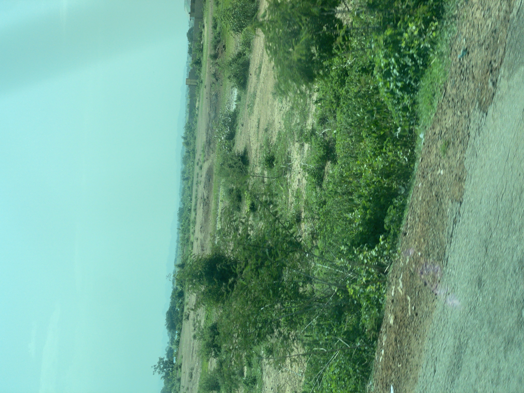 The image depicts a rural landscape under a light cyan sky. The foreground shows a rough, textured surface, possibly a dirt road, with patches of green vegetation. Beyond this, the terrain opens up to a moderately vegetated area with sparse trees and bushes scattered across a mostly dry, light brown ground. In the mid-ground, several clumps of dense green bushes and trees are visible, some appearing taller than others. Further in the background, the landscape is flatter, with more distant vegetation and some indistinct structures that could be buildings. The overall impression is of a dry, open, and somewhat undeveloped area. The scene is consistent with the environment of Jama'a, Nigeria, which is characterized by its rural settings, savannas, and scattered settlements.