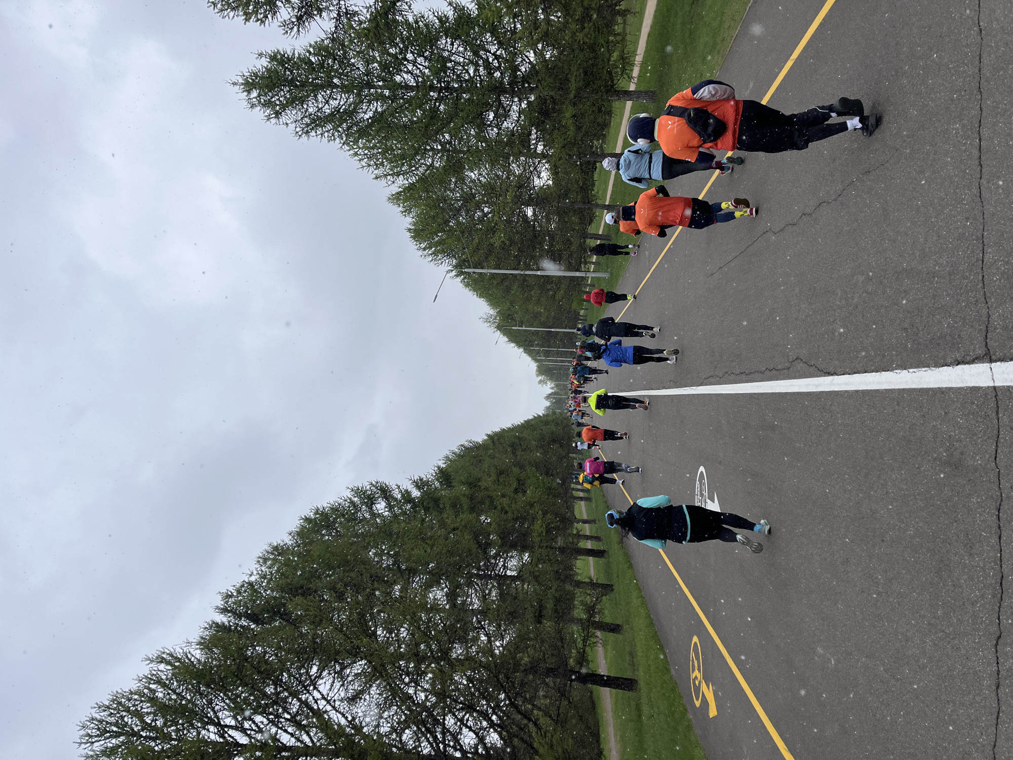 A line of people is rollerskiing on an asphalt path through a park on a cloudy day. The park has tall, green trees lining the side of the path. The path has a white line down the middle and yellow lines on each side, with bike symbol indicators between the yellow lines. It is snowing. The location is likely in Krasnoyarsk, Russia, although this is not discernible from the image.