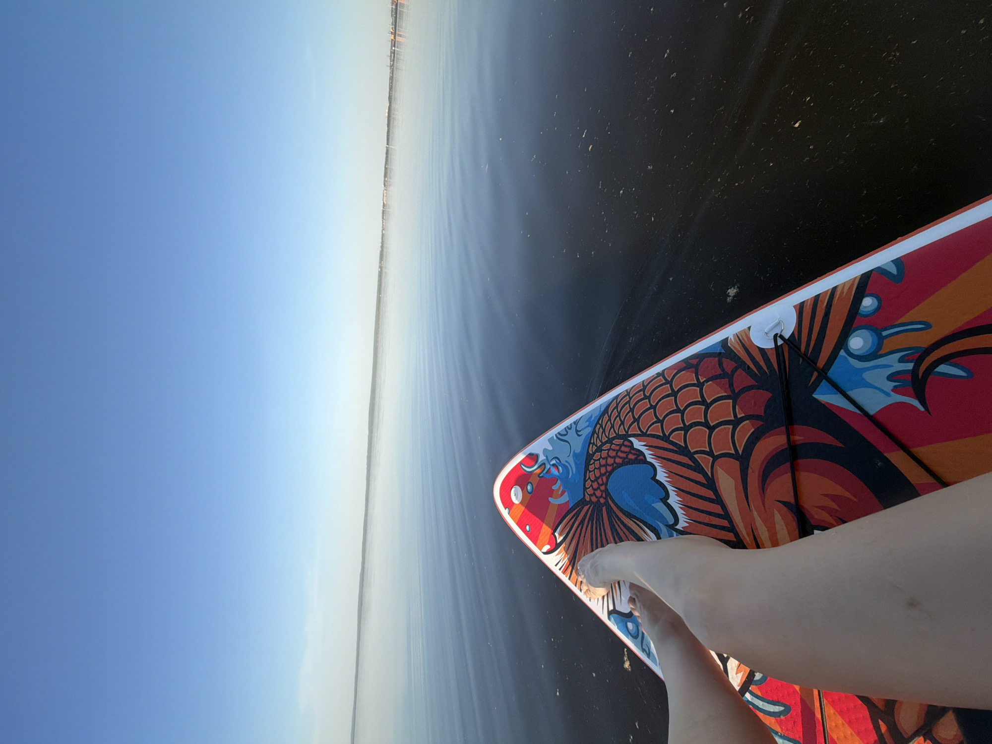 The image depicts a person on a paddleboard on a body of water near Noviy, Russia. The paddleboard has a colorful design featuring a fish motif in red, orange, and blue. The person's bare feet and legs are visible on the board. The water is calm, reflecting the clear blue sky. In the distance, a faint shoreline is visible, suggesting a coastal or lakeside setting near Noviy, Russia. The scene suggests a peaceful and recreational activity on the water.