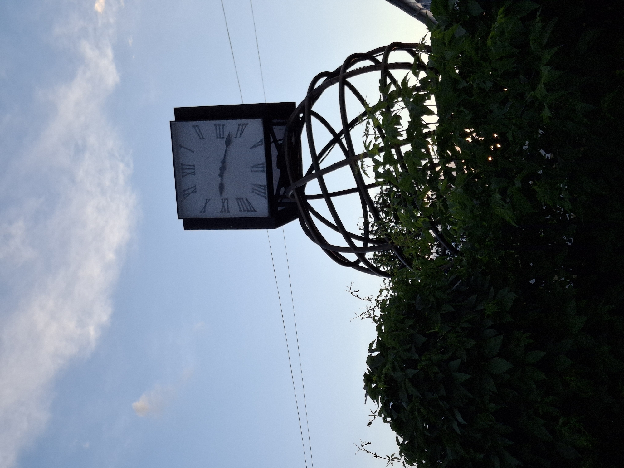 The image shows a street clock in the city of Chaikovsky, Russia. The clock face displays Roman numerals and is mounted within a dark metal spherical structure. Green vines and foliage grow around the sphere. Overhead wires are visible against the blue sky.