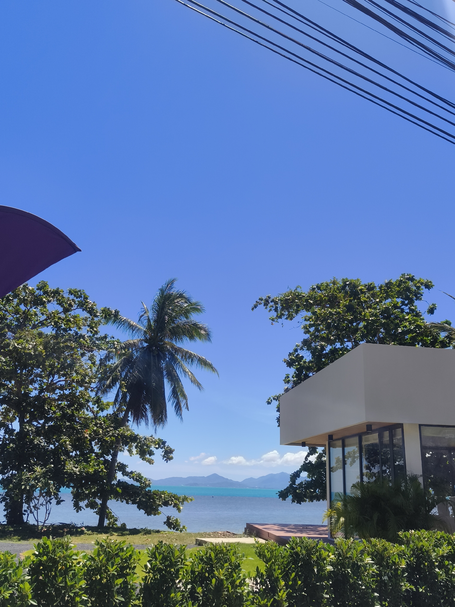 A clear blue sky dominates the upper portion of the image, with a few wispy clouds visible near the horizon. A series of dark electrical wires are strung across the top right of the frame, angled downwards.
In the lower half of the image, a tropical coastal scene unfolds. To the left, a portion of a large, dark purple umbrella is visible, casting a shadow. Beside it, a large green tree with dense foliage stands tall. A slender coconut palm tree with its fronds swaying gently is positioned slightly to the right of the large tree, its trunk reaching towards the sky.
In the background, the turquoise ocean stretches out, meeting a line of distant islands or mountains on the horizon. The water appears calm with gentle waves.
On the right side of the image, a modern, white, rectangular building with large glass windows is situated. The building appears to be a cafe or a small structure with a clean, minimalist design. In front of the building, a low, manicured green hedge runs along the bottom of the frame, suggesting a well-maintained garden or outdoor seating area. A reddish-brown wooden deck is visible to the left of the building, partially obscured by foliage.
The scene is set on a sunny day, evoking a relaxed, tropical atmosphere. The location is identified as Baan Thong Po, Thailand, a coastal area likely characterized by its natural beauty and resort-like amenities. No people are visible in the image.