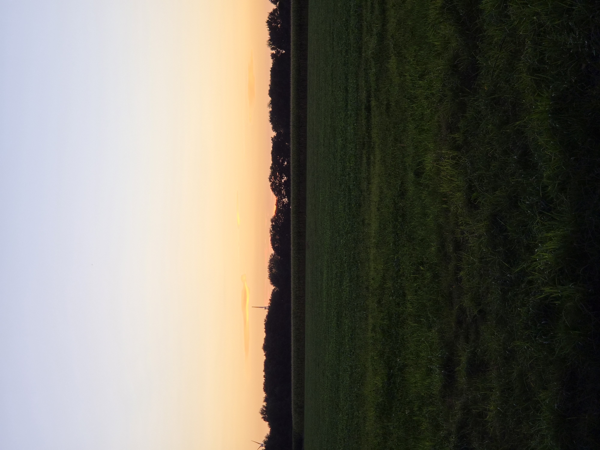 An outdoor, vertical, full shot photograph captures a rural landscape at sunset. The sky transitions from a pale blue at the top to a warm orange near the horizon. A dark band of trees lines the middle ground, with a cornfield visible in front of them and a grassy field in the foreground. Two wind turbines are partially visible on the left and right edges of the frame, suggesting the location is near the town of Schiffdorf, Germany, which is known for its wind farms. The lighting suggests the image was taken during the twilight hours.
