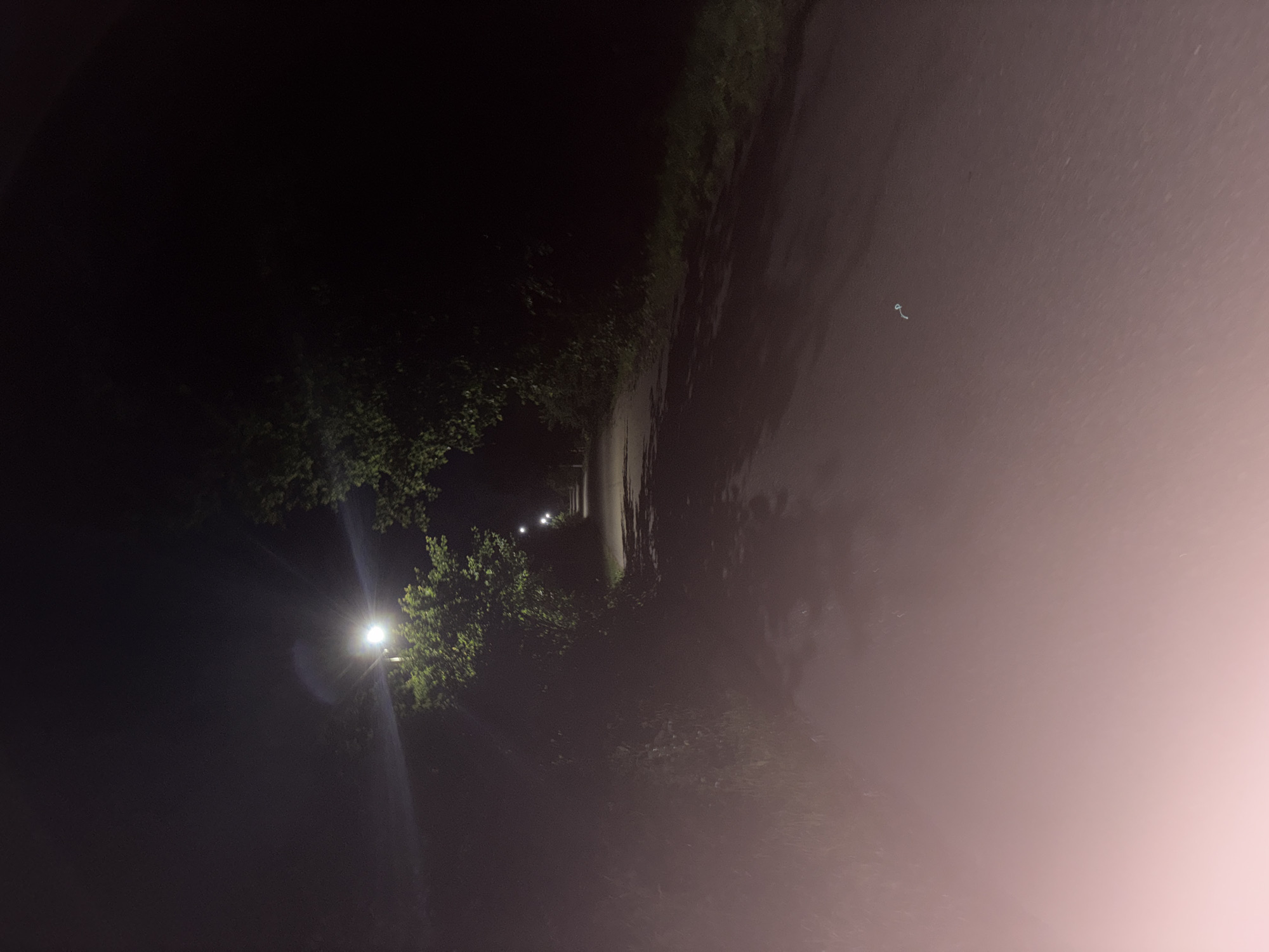 A nighttime, first-person perspective shot of a paved road winding through a wooded area. Several streetlights illuminate the path. The road is wet, reflecting the light. To the left of the road, dense foliage and trees are visible. To the right, the vegetation thins out, revealing grass and a darker wooded area. The far end of the road recedes into darkness, with more streetlights visible in the distance. In the foreground, on the lower left, a bright, soft pink light source is present, possibly from a vehicle's headlights or a camera flash.