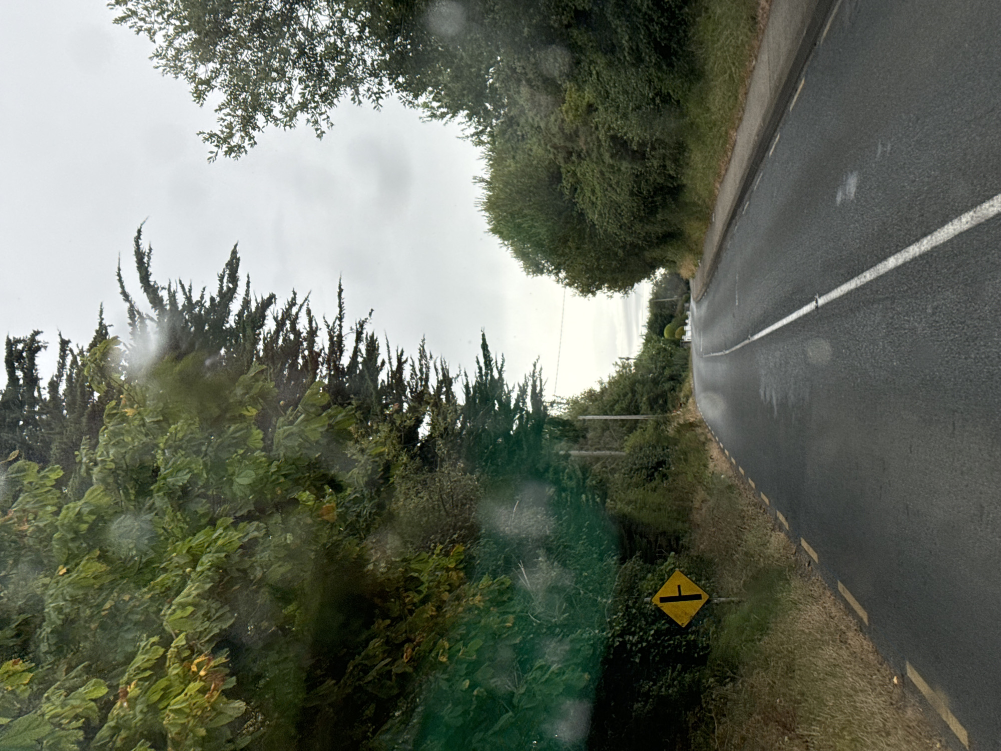 The image depicts a wet, asphalt road in a rural or suburban setting, likely in the vicinity of Gorey, Ireland. The road curves gently to the right. On the left side of the road, there is a yellow diamond-shaped traffic sign with a black symbol indicating a junction where a minor road joins from the left. The sign is mounted on a metal post. Tall green trees and vegetation line both sides of the road, with the leaves appearing somewhat wet, suggesting recent rain. The sky is overcast, contributing to the muted lighting. There are no people or vehicles visible in the frame. The overall impression is one of a quiet, possibly damp day on a country road.