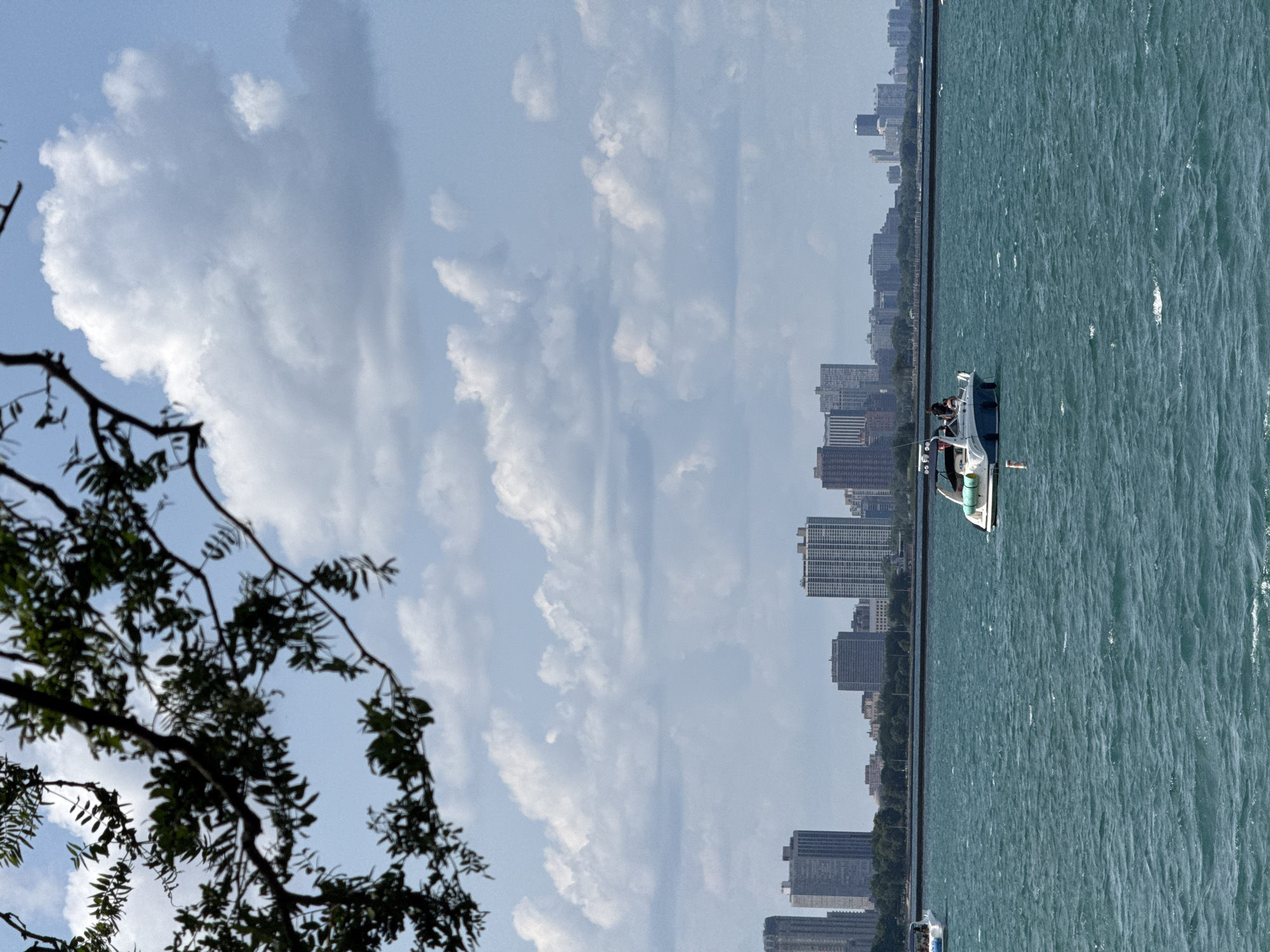 This is a vertical, medium-distance shot of a body of water, likely Lake Michigan, in Chicago, Illinois. In the foreground, the choppy, turquoise water fills the bottom two-thirds of the frame, with whitecaps visible. A white and blue speed boat with several people on board is positioned in the middle right of the frame, moving away from the viewer. In the background, a line of trees separates the water from a distant cityscape of skyscrapers. The sky above is a bright blue with scattered white, puffy clouds. A dark tree branch with green leaves hangs from the top left corner of the image, partially obscuring the sky.