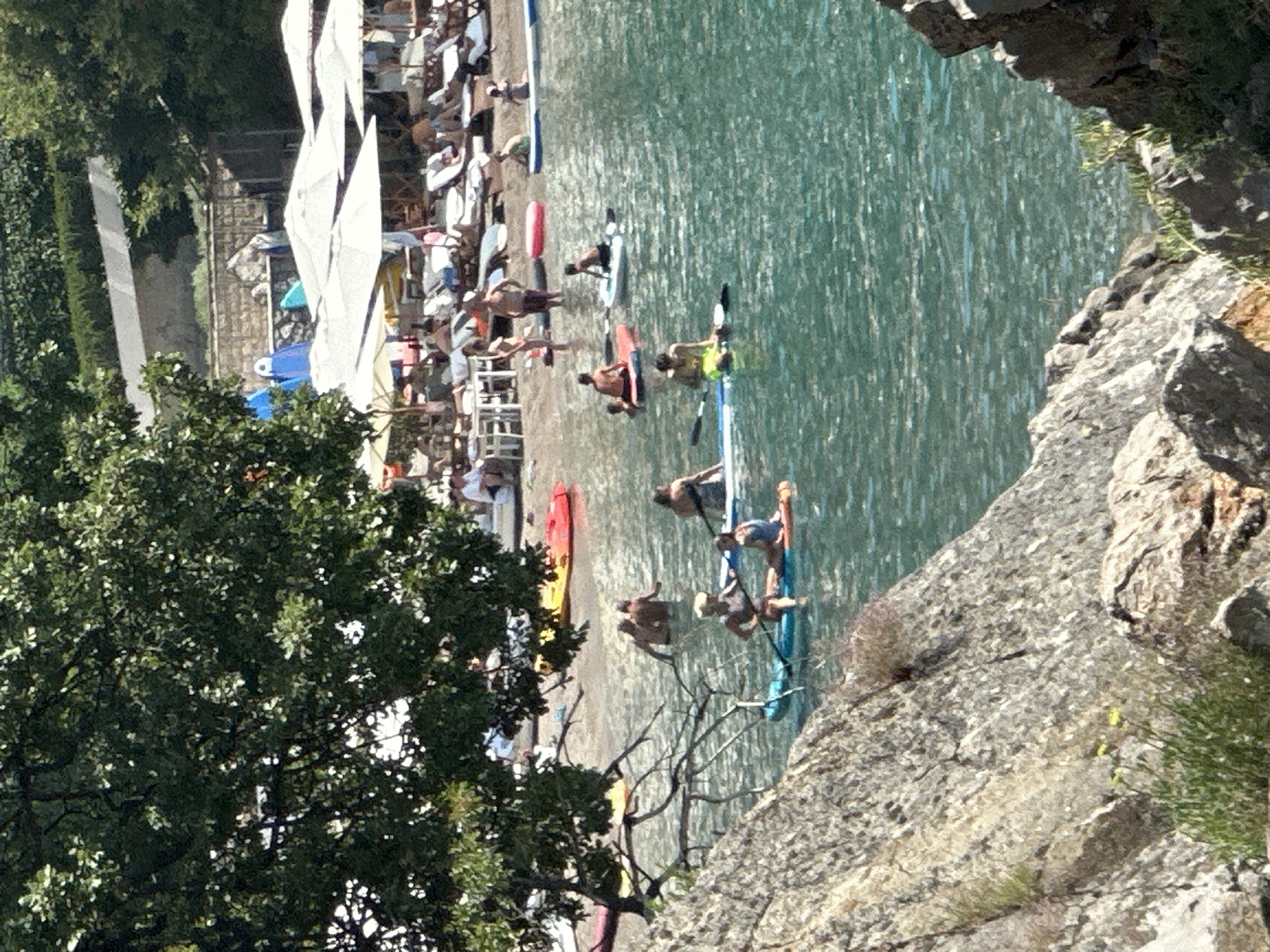 The image depicts a sunny day at a beach resort area, likely in Budva, Montenegro, with the Adriatic Sea in the foreground and a hillside with greenery and structures in the background. A large tree with dark green foliage partially obscures the upper left portion of the scene. In the water, several people are engaged in water activities. Two individuals are paddleboarding on a blue board in the lower center, with one steering. Another person is paddleboarding on an orange board behind them. Further out in the water, several other people are visible on paddleboards and in the water. The beach area in the mid-ground is lined with white lounge chairs and umbrellas, indicating a recreational setting. Some people are seated on the beach or near the water's edge. The sea is a clear, turquoise color, with small waves visible. The background shows a gentle slope covered in vegetation, with some buildings or structures interspersed. Rocks and sparse vegetation are prominent in the lower left and right corners of the image, suggesting a natural rocky coastline.