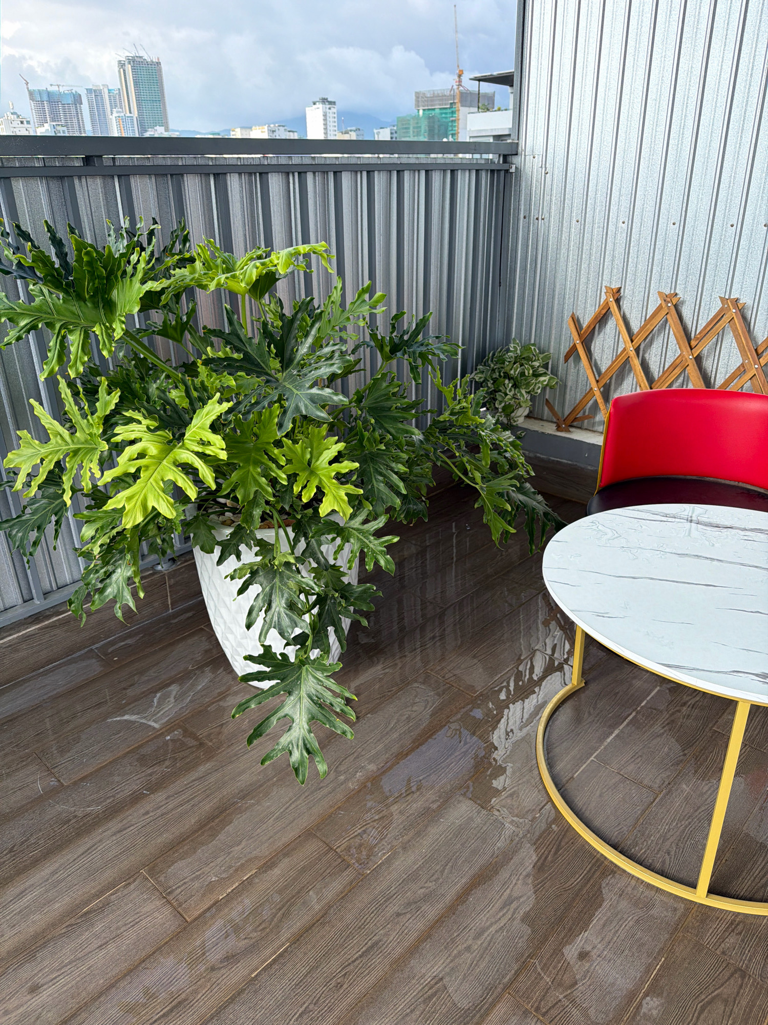 The image depicts a balcony scene in a residential or commercial building in Đà Nẵng, Vietnam. The balcony has a wooden-plank floor that appears wet, reflecting the overcast sky. A large, leafy green plant in a white geometric pot dominates the left side of the frame. To the right, a red chair is partially visible, accompanied by a round coffee table with a white marble-patterned top and a gold metal base. In the background, a corrugated metal fence separates the balcony from a view of the city, which includes several tall buildings, some under construction, and cranes. A small, bushy green plant is placed on the floor near the fence.