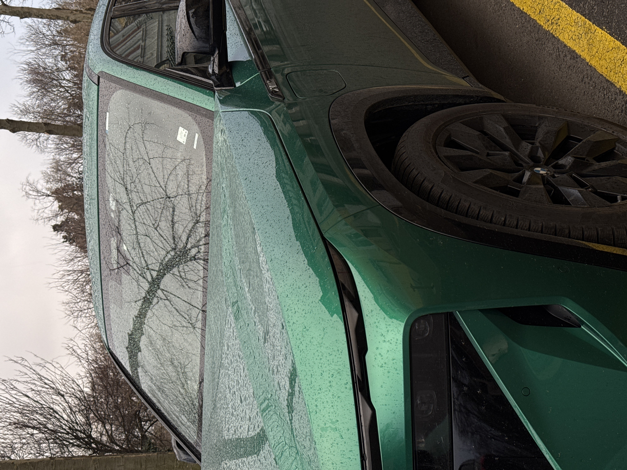 A green BMW vehicle is parked on a street with yellow curb markings. The vehicle is wet, likely from rain, with droplets visible on the windshield and body. Bare trees are reflected in the windshield. The focus is on the front portion of the vehicle, including the tire, headlights, and body. The location is not discernible from the provided image.