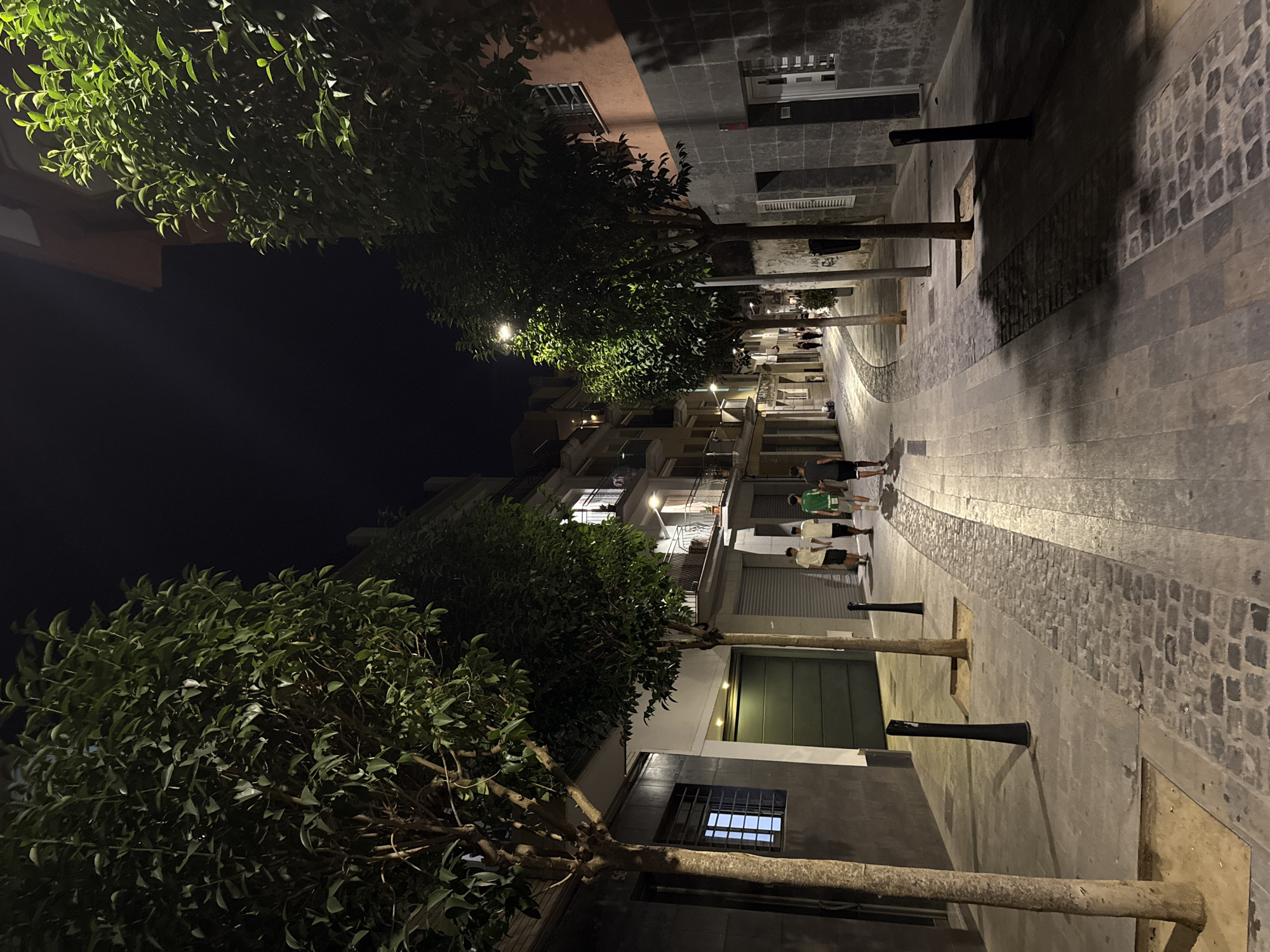 The image depicts a street scene at night in Blanes, Spain. A paved walkway, featuring a cobblestone section, runs through the center of the frame, flanked by buildings and trees. Several individuals are walking along the path. On the left, a building with a dark facade features a window and a large green garage door. On the right, multi-story buildings with balconies and illuminated windows line the street. Two trees are prominently positioned on the left side of the walkway, with more trees lining the path further down. Streetlights cast a warm glow on the scene. The overall impression is of a quiet, urban street at night.