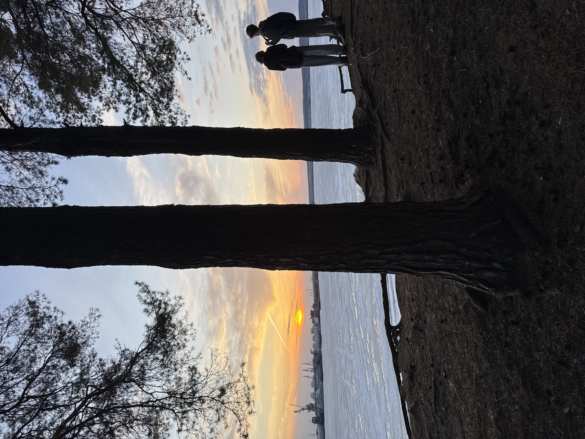 The image shows a sunset over the Kama River in Chaikovsky, Russia, as viewed through a gap between two trees. Two people stand on the riverbank. The sky is orange near the horizon, transitioning to blue above. Industrial structures, including cranes, are visible in the distance along the shoreline.