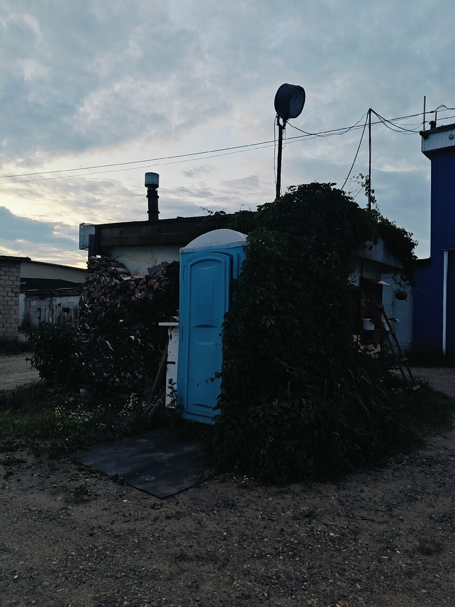 A portable blue toilet is situated on a gravel lot in front of a weathered, low-rise building. The toilet is partially obscured by dense, dark green ivy that has overgrown a significant portion of the building and a stack of firewood piled to its left. A wooden ladder leans against the building to the right of the toilet, and a large, dark industrial lamp is mounted on a pole above the building. The sky is overcast with diffused light. The scene appears to be in an industrial or utility area, possibly on the outskirts of Chaikovsky, Russia.