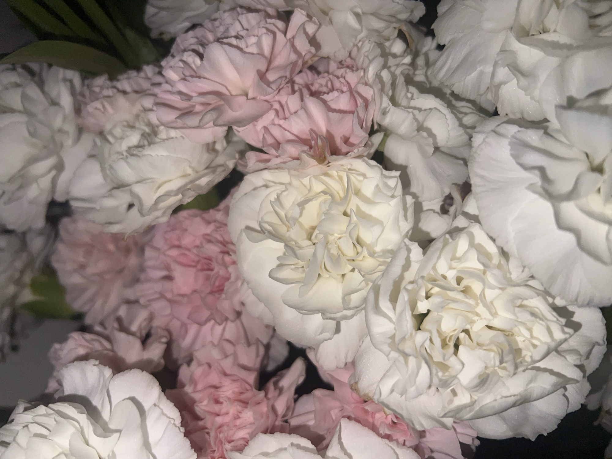 A close-up shot of a bouquet of carnations, primarily white and light pink in color. The flowers are densely packed, filling the frame with their ruffled petals. A few green leaves are visible in the upper left corner. The lighting is somewhat dim, creating soft shadows on the petals. The location and environment details are not discernible.