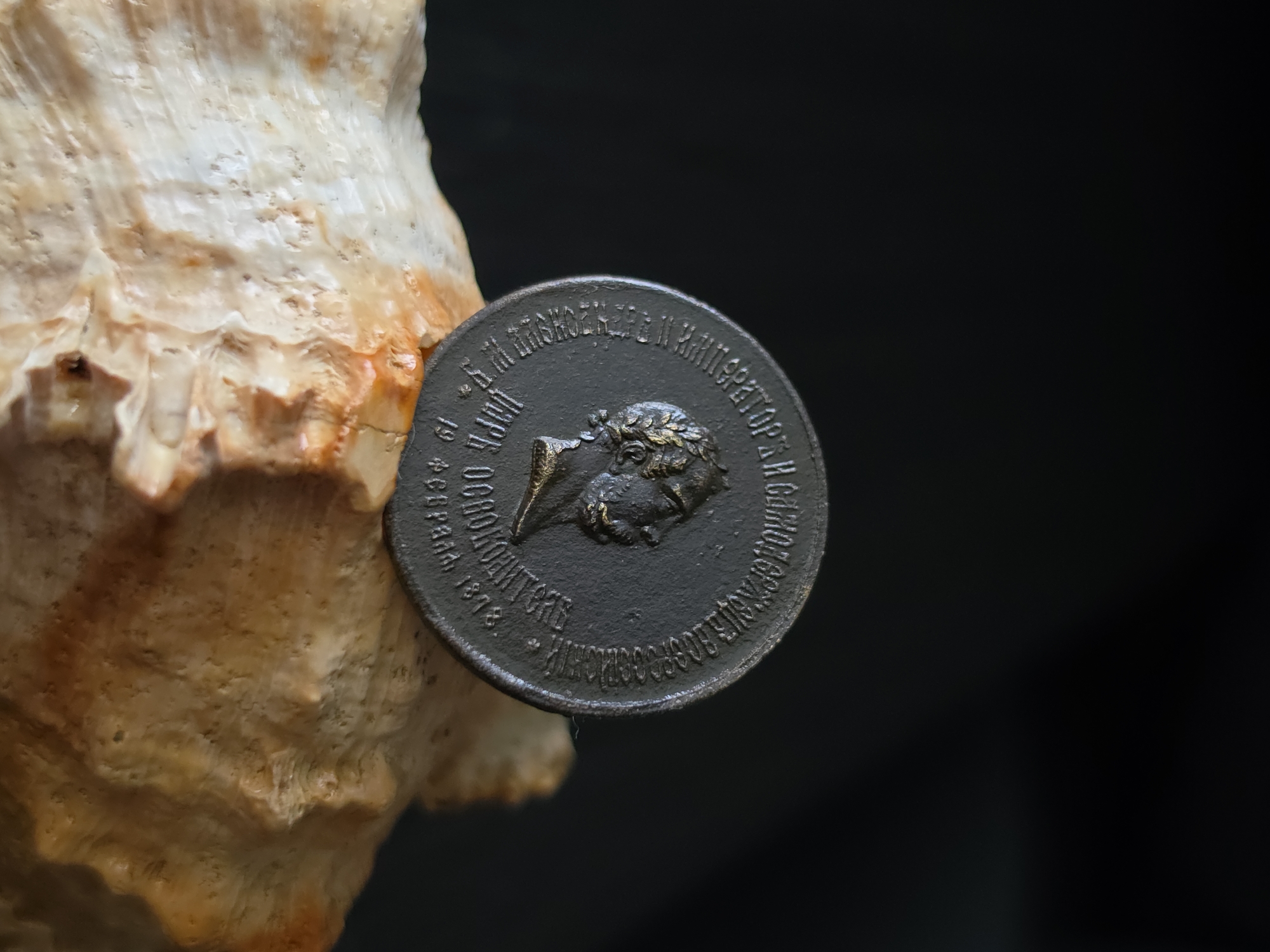 A close-up, low-angle shot shows a dark, circular metal object with an embossed profile of a man's head wearing a laurel wreath. The object, which appears to be a coin or medal, rests on a large, textured, light-colored seashell against a dark, out-of-focus background. The text on the object is in Cyrillic script and appears to be in Russian. The inscription around the profile reads: "ИМПЕРАТОРЪ И САМОДЕРЖЕЦЪ ВСЕРОССIЙСКIЙ". Below the profile, the inscription reads: "НИКOЛAЙ OCOBOKOЛUKHTCKIЙ 19 ФЕВРАЛЯ 1872". This indicates the coin is related to Emperor Nicholas and the date February 19, 1872. The specific location in Strelna, Russia, is not depicted in the image.