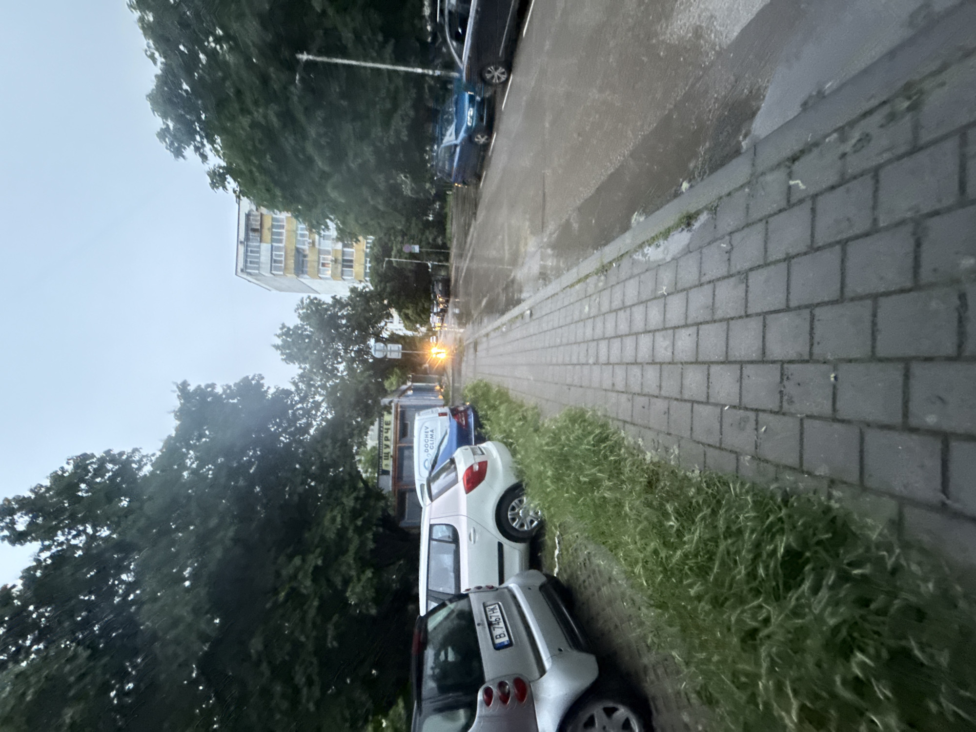 The image depicts a quiet urban street scene, characterized by wet surfaces suggesting recent rain. The lighting is dim and overcast, indicating either early morning, late evening, or a heavily clouded day.
In the foreground, a paved sidewalk made of rectangular blocks runs along the right side, bordered by a strip of unkempt green grass and weeds. Several vehicles are parked parallel to the sidewalk. Closest to the viewer is the rear of a silver Smart car, displaying a Bulgarian license plate "B 7467 HK," which signifies registration in Varna. Behind it, a white car, possibly a Skoda Yeti, is parked, followed by a white van. The van has Cyrillic text "ШУРЧЕВ СЪНИ" (Shurchev Sani) visible on its side. Further down the street, additional cars, including a blue sedan, are parked.
To the left, a line of tall, leafy green trees partially frames the view. Beyond the trees, in the distance, stands a multi-story residential building with a facade featuring a mix of white and yellow sections, indicative of typical post-communist architecture. A street lamp with an illuminated yellow light is visible further down the street, contributing to the ambient glow. The street itself is an asphalt road, glistening from the wet conditions. No people are visible, lending a sense of stillness to the scene. The overall impression is that of a calm street in a residential area of Varna, Bulgaria, after rainfall.