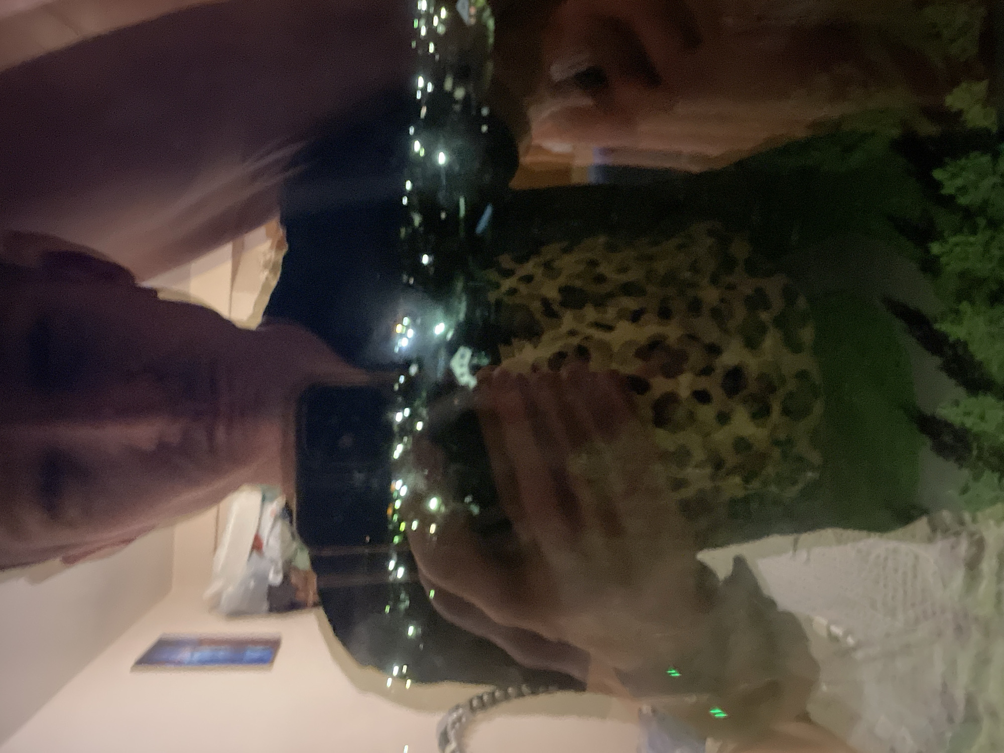 A slightly blurry, distorted reflection shows a person in a black shirt with a leopard print pattern on the chest. The reflection appears to be in a window or mirror with a view of a city at night. Lights from buildings are visible in the background, suggesting an urban setting. The person's face is partially obscured, but they appear to be looking at the camera. The overall lighting is dim, with some green lights visible in the foreground, possibly from a device. The reflection is the primary subject of the image.
