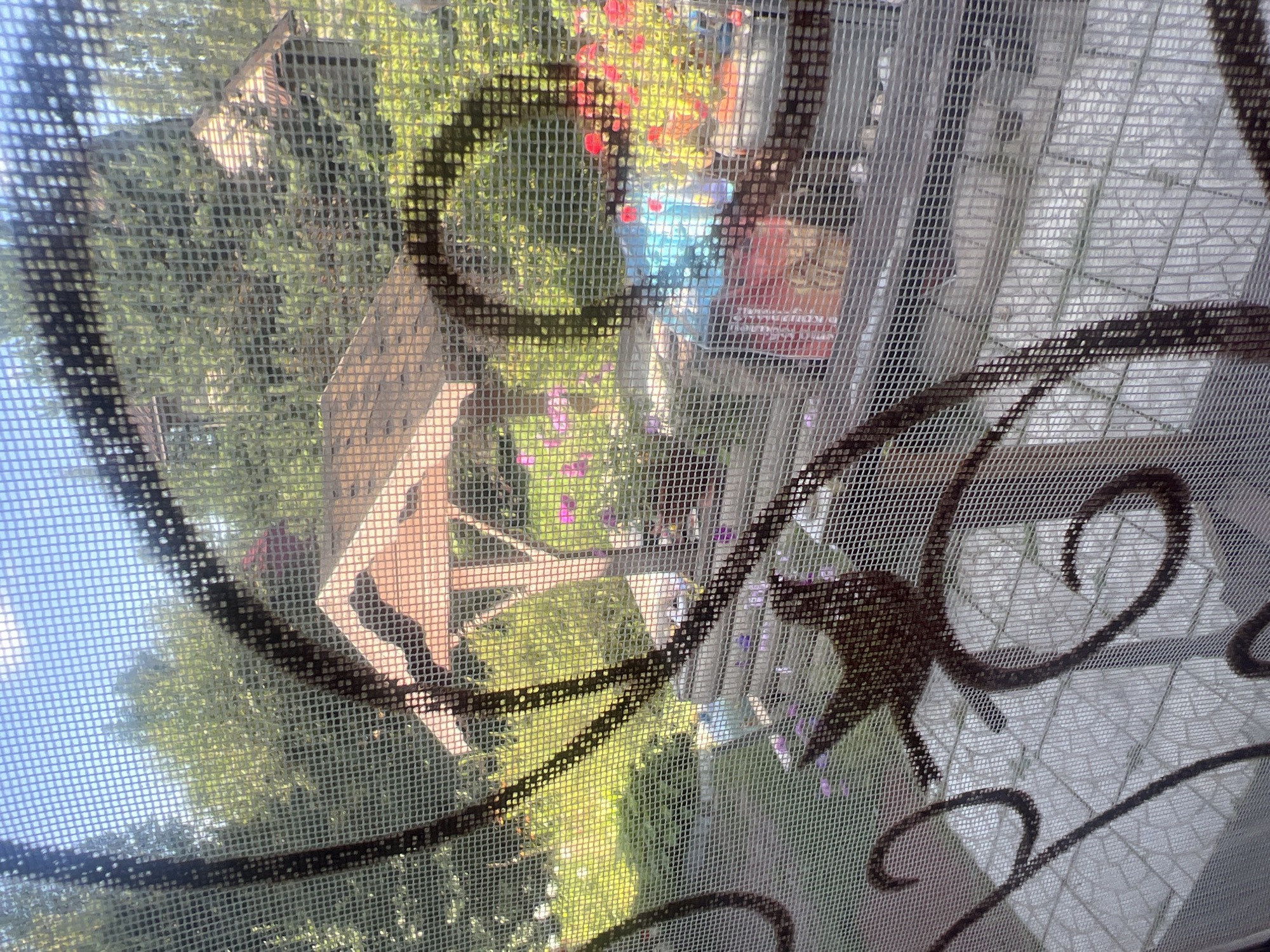 The image shows a backyard scene viewed through a window screen, with dark, decorative metal scrollwork in the foreground obscuring parts of the view. The backyard is lush with green trees and vegetation. In the middle ground, there is a wooden gazebo with a peaked roof. Beyond the gazebo, there are flower beds with pink and red flowers. Some objects are visible on a table or surface behind the gazebo, including what appears to be a blue plastic tarp or container and some red and white packaging. The ground in the foreground appears to be paved with light-colored tiles. The sky is blue with some white clouds. The location is specified as Роса Снт, Russia. There are no people or animals visible in the image.
