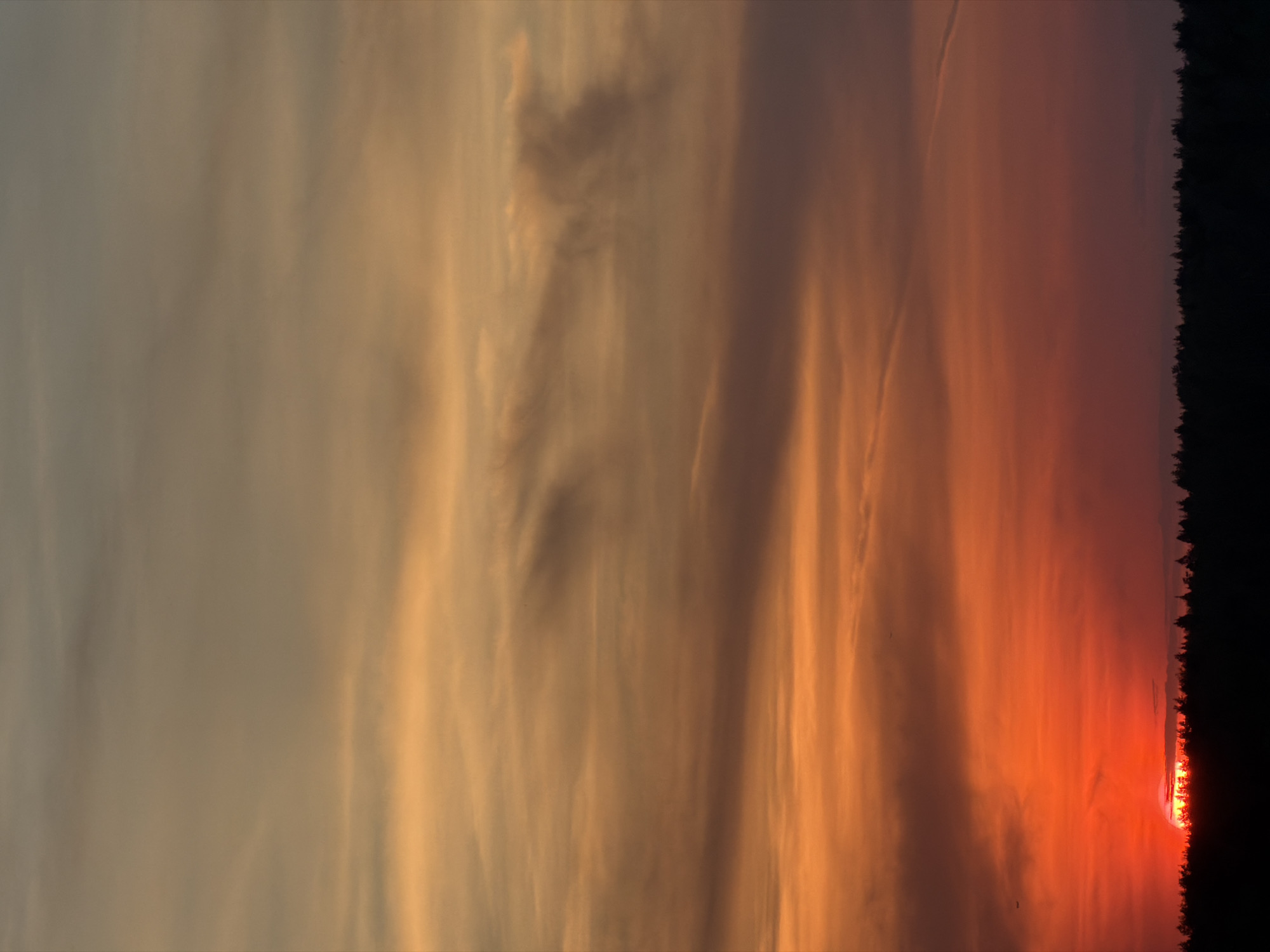 The image captures a sunset over a landscape in the city of Unknown, Unknown. The sun is positioned on the right side of the image, appearing partially obscured by a dark silhouette of trees. The sky displays a gradient of colors, transitioning from orange near the horizon to a muted yellow and gray higher up, with striations and cloud formations visible. A few small, dark spots, potentially birds, are scattered within the orange portion of the sky.