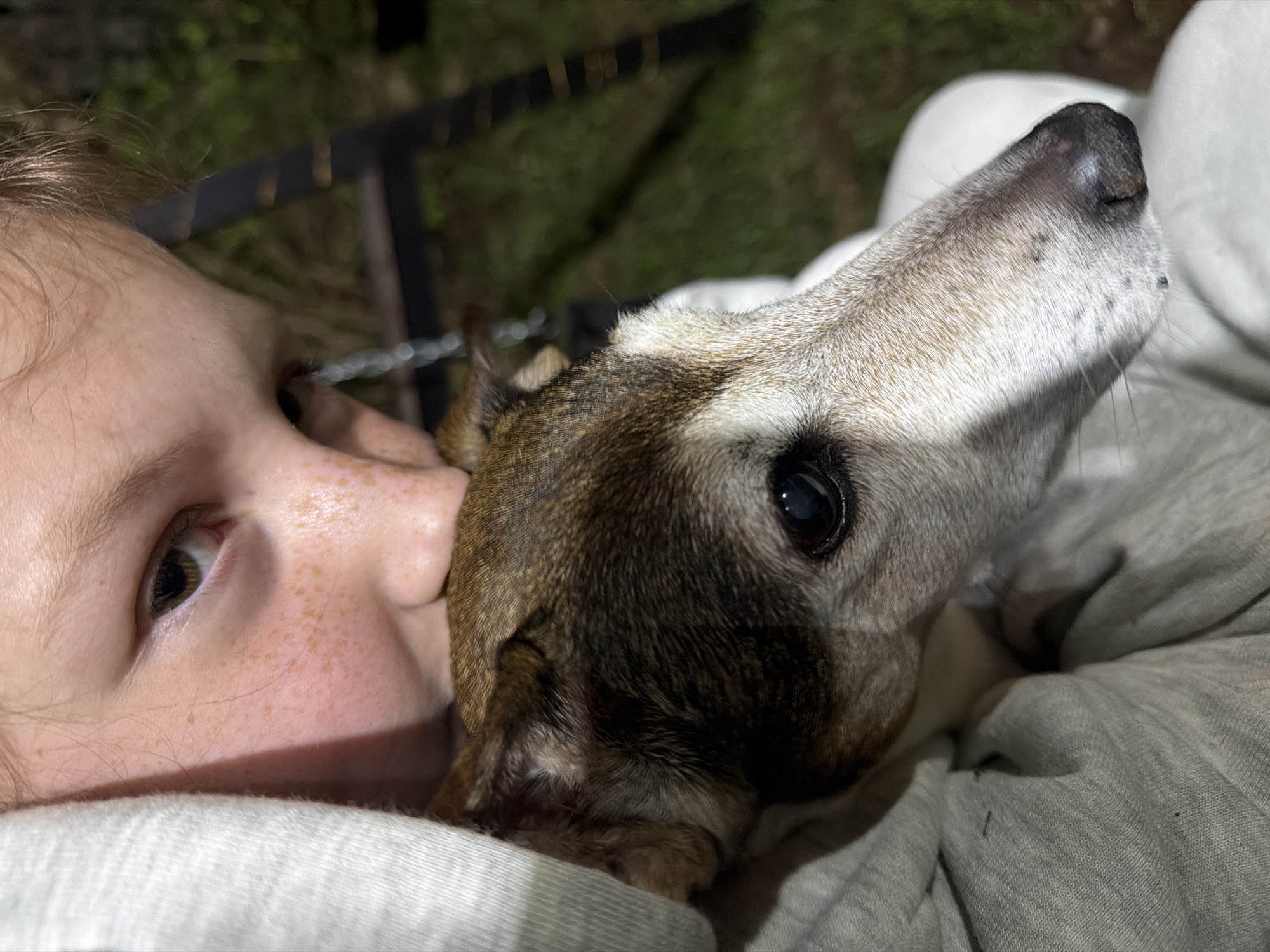 A close-up photograph shows a fair-skinned child with freckles lying on their side, their face turned towards a dog. The dog, mostly white and tan with brown patches around its ears, rests its head on the child. Both appear to be lying on a light gray cloth or blanket. In the blurry background, there is a dark, undefined object and some green foliage. The location, Markovo, Russia, cannot be verified from the visual information provided.
