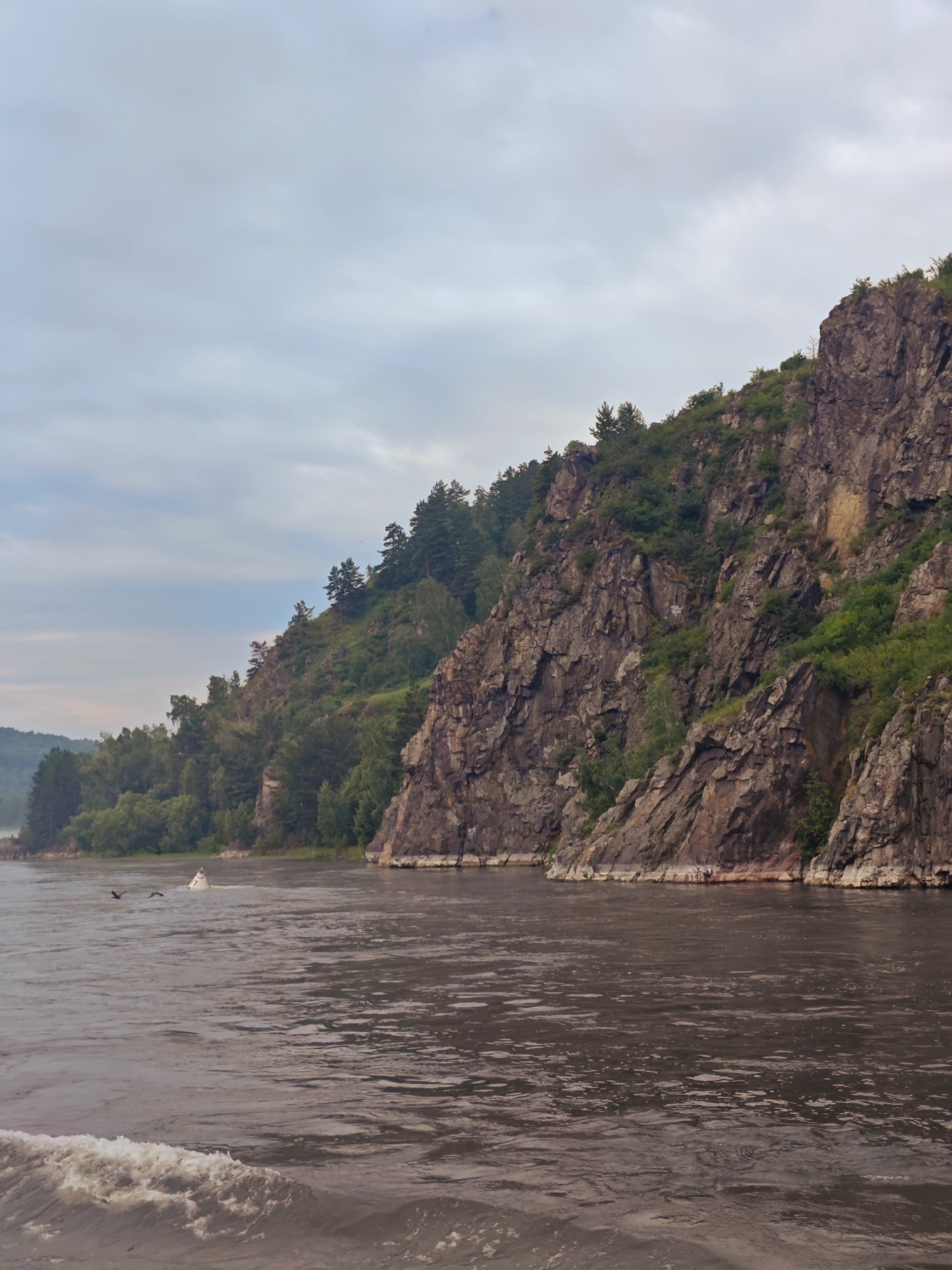 The image shows a wide, murky river flowing past a steep, rocky cliff face covered in green vegetation. The sky is overcast with light gray clouds. On the water, a small white buoy is visible, and two birds are flying in the distance. The riverbank on the left side of the image is densely forested with various trees. The scene appears to be a natural landscape, possibly in a rural or remote area. There are no visible structures or signs of urban development within the frame. The overall mood is serene and natural. The location is the Yenisei River near the village of Atamanovo, Krasnoyarsk Krai, Russia.