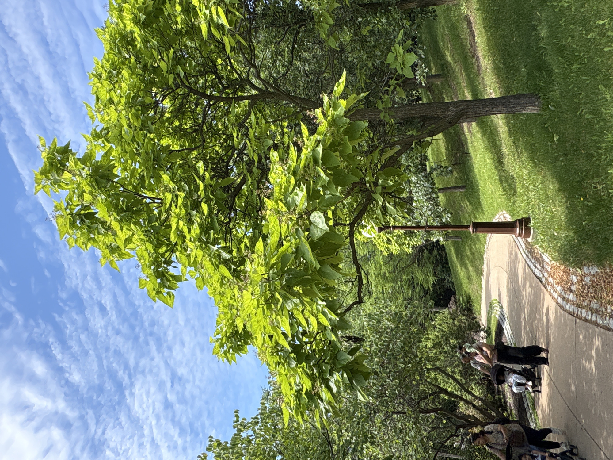 The image depicts a park scene in the City of Niagara Falls, United States of America, on a sunny day with a partly cloudy blue sky. A paved pathway curves through the park, bordered by a stone and leaf-mulch edging. On the left side of the pathway, several people are walking, including a woman pushing a stroller with a child and another woman and child walking ahead. Further back on the pathway, a man is holding a child on his shoulders and another child is in a stroller.
Dominating the right side of the image is a large, vibrant green tree with broad leaves, its branches extending over the pathway. Adjacent to the tree and the pathway is a lamppost with a brown, ornate base and a dark pole. The ground to the right of the pathway is a grassy slope dotted with shadows cast by trees. In the background, more trees and foliage create a lush, green environment. The overall impression is a serene, natural setting, likely a popular spot for recreation.