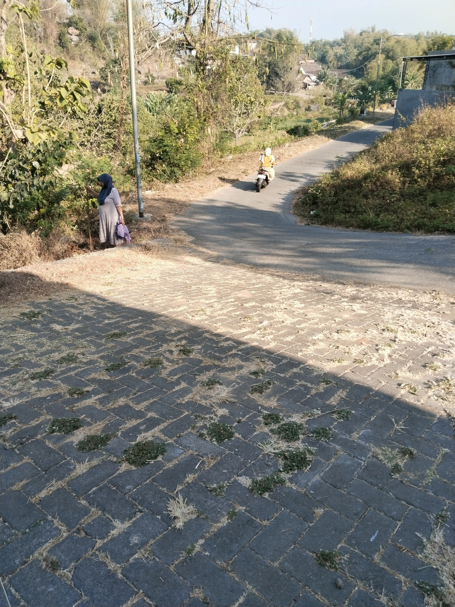 In Kuripansari, Indonesia, a woman wearing a hijab and a patterned dress stands next to a lamppost on the side of a paved road. She holds a purple bag. Further down the road, a person on a scooter, wearing a yellow shirt and white head covering, drives away from the camera. The road winds through a rural landscape with trees, vegetation, and some buildings visible in the background. The foreground is a paved walkway with scattered dry grass and some small green plants growing between the paving stones. The sun casts shadows across the walkway, indicating it is daytime.