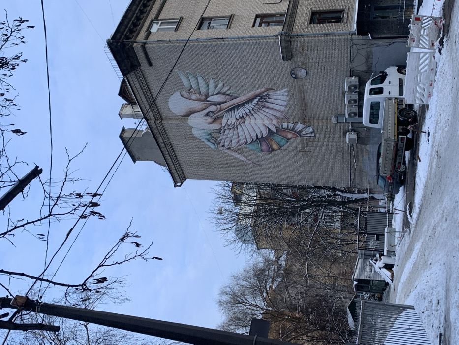 The image depicts a snow-covered urban alleyway in Kyiv, Ukraine, specifically at Sichovykh Striltsiv Street 31. The dominant feature is a large mural titled "Rebirth" by Fintan Magee, painted on the light-grey brick facade of a five-story building. The mural illustrates a hooded, winged figure resembling a pelican, with white and multi-colored wings, appearing to carry a smaller entity on its back. Below the mural, a faint circular design is visible on the wall. Three air conditioning units are mounted on the building's lower section, above a parked white flatbed utility van. A dark-colored sedan is parked behind the van.
In the foreground, a snow-covered dirt or unpaved road curves towards the left. White and orange plastic construction barriers are positioned on the right side of this road, with exposed earth underneath. A tall, dark utility pole with electrical wires stands prominently on the far left. Bare tree branches with visible seed pods extend into the upper left quadrant of the frame against an overcast, light-blue sky. In the background, beyond the main building, other snow-dusted deciduous trees and residential buildings are visible. Several small, metal-clad sheds are situated behind a fence on the left side of the alleyway. No individuals are present in the scene.