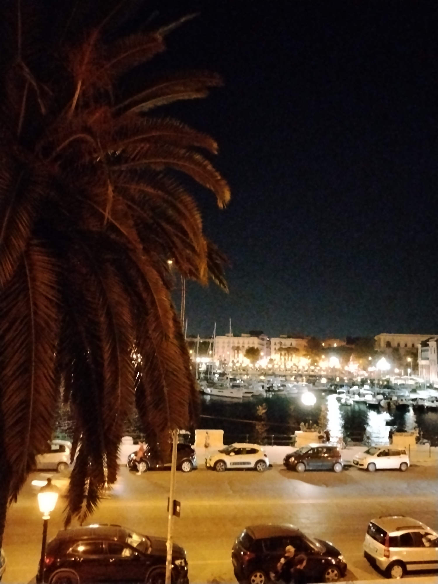 In a nighttime view of Bari, Italy, a palm frond dominates the foreground, casting a shadow over a street scene. Several cars are parked on the street, including a dark SUV, a dark hatchback, and a white hatchback. A street lamp illuminates the area. In the background, a harbor filled with boats is visible, with a cityscape of buildings lit by numerous lights. The sky is dark, indicating it is night.