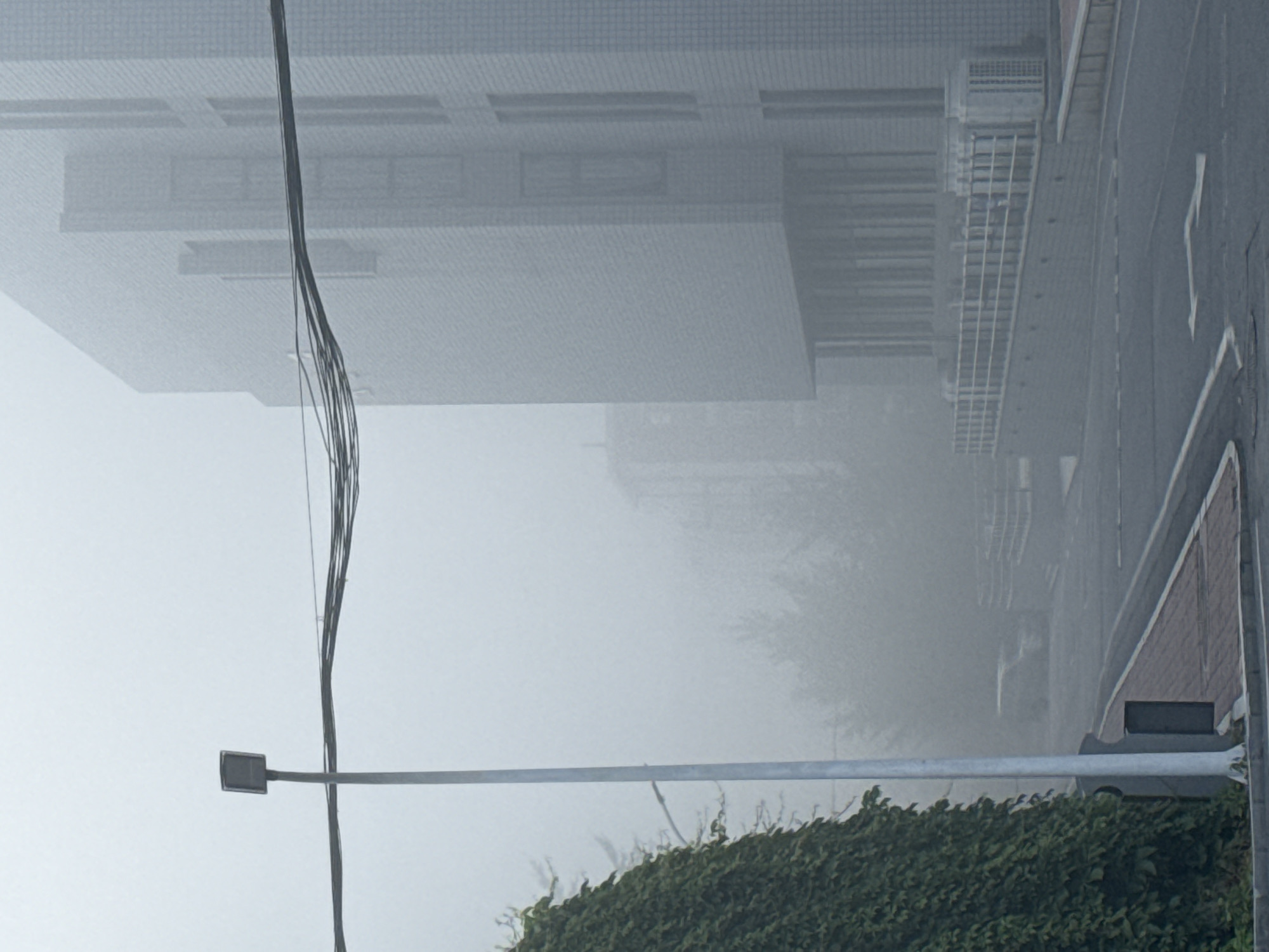 A street scene in Zhongtun, China, shrouded in thick fog. A tall, modern building with a grey tiled facade and numerous windows stands prominently on the right. A white metal railing encloses an elevated walkway in front of the building. To the left, a light pole with a square lantern is visible, and a dense green vine covers a wall. In the background, trees and other buildings are obscured by the fog, and a white car is faintly visible on the road. The road in the foreground is asphalt with white directional arrows. Power lines stretch horizontally across the upper portion of the image. The atmosphere is dense with fog, significantly reducing visibility.