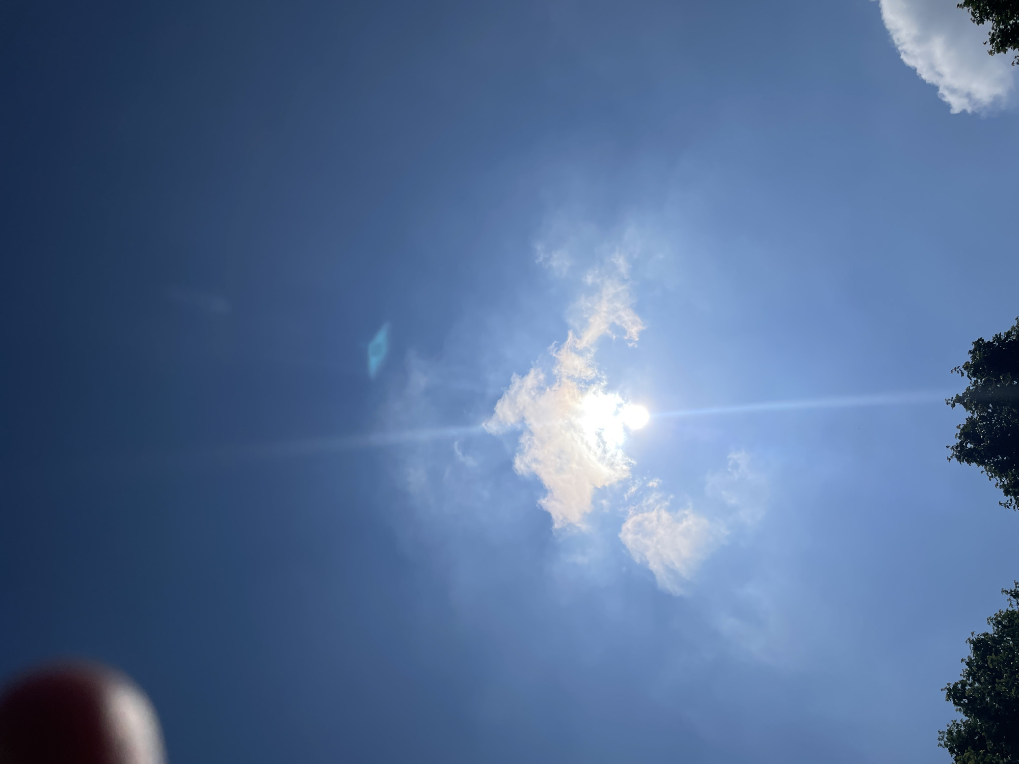 An upward-facing outdoor shot captures a clear, vibrant blue sky filled with bright sunlight and scattered white clouds. The sun is intensely bright, positioned in the upper right quadrant, partially obscured by a soft, white cloud. Its brilliance generates a pronounced horizontal lens flare that stretches across the image, along with a distinct, blue, diamond-shaped artifact visible on the left side of the frame. Dark green tree foliage is discernible in the top right and bottom right corners, framing the sky. A blurred, reddish-brown finger or thumb is visible in the bottom-left corner, suggesting a handheld camera or smartphone was used to capture the image. The scene conveys a bright, sunny daytime environment. No text is visible in the image.