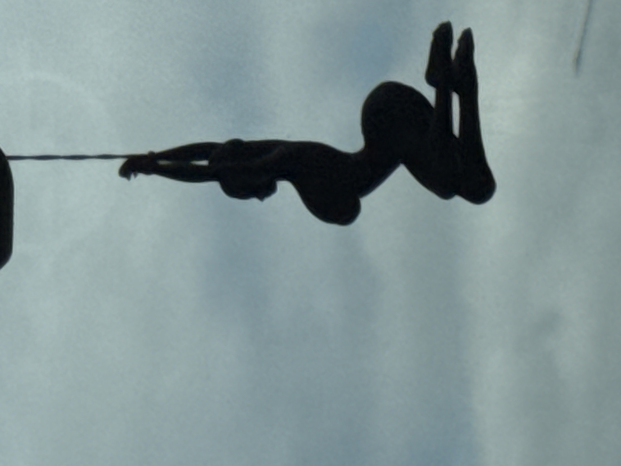 A silhouette of a person is hanging from a thin cord against a cloudy sky. The figure is in a kneeling position with their arms raised above their head. The figure appears to be a statue or a decorative object, possibly hanging from a building or tree. The location in Didino, Russia is not discernible from the image.