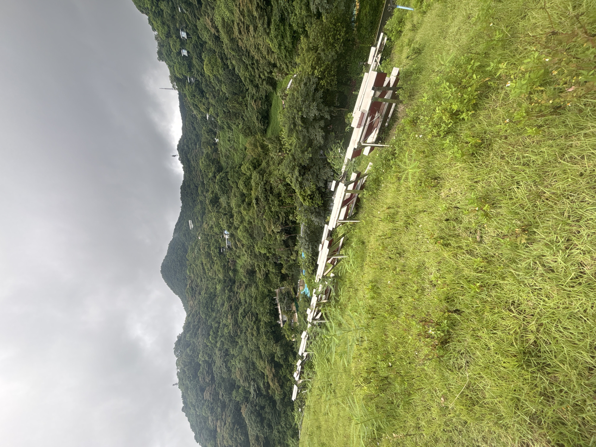 A cloudy day scene unfolds with a lush, green hillside dominating the foreground and midground. A row of white and maroon picnic tables, arranged sequentially and angled towards a densely forested mountain, lines the top of a grassy slope. Beyond the tables, a valley floor is visible, dotted with trees and what appears to be a swimming pool area. The mountain slopes are covered in thick, verdant vegetation, with scattered houses and communication towers peeking through the trees, suggesting a semi-rural or resort-like setting on the outskirts of a city. The sky above is overcast, with heavy grey clouds creating a diffused light.