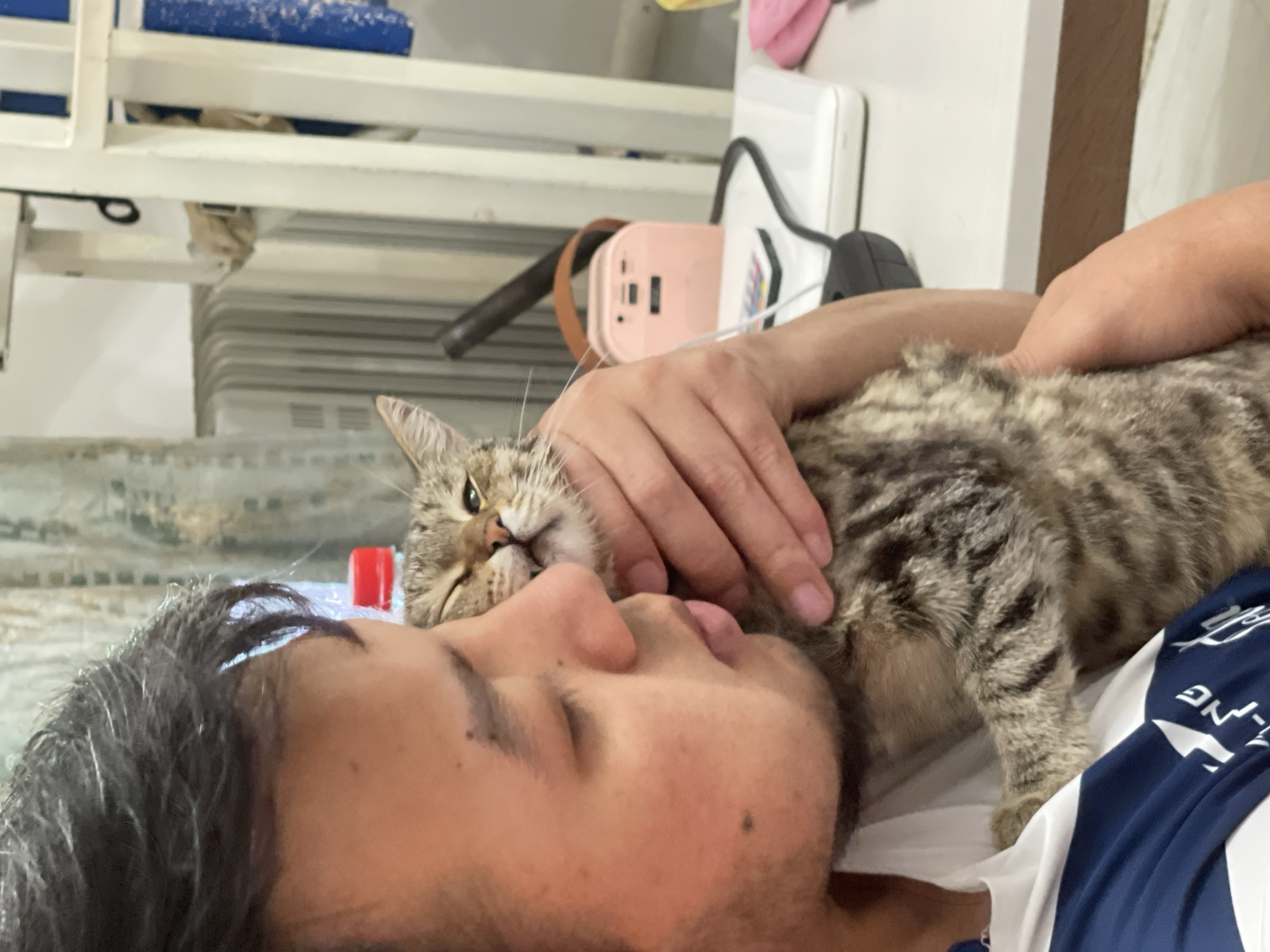 A close-up, medium shot shows a person embracing a tabby cat. The person, seen from the neck up on the left, has dark hair and is wearing a white shirt with a navy blue and white stripe pattern. Their face is partially obscured as they hold the cat close, with their lips near the cat's cheek. The cat, facing the camera, is a tabby with prominent stripes and is being held securely in the person's arms. Its eyes are partially closed, and its mouth is slightly open, giving it a somewhat grumpy or sleepy expression. The background is softly blurred, showing a radiator on the left, and on a white surface on the right, a pink portable charger, a white laptop, and a black computer mouse are visible. The scene appears to be indoors, possibly in a home or office setting, located in Bishkek City, Kyrgyzstan.