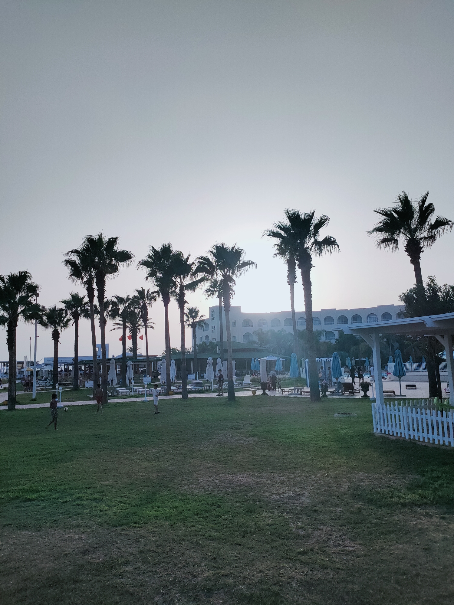 The image depicts a resort area in Nabeul, Tunisia, with a wide expanse of green grass in the foreground. Several children are visible on the grass; two appear to be playing with a soccer ball. Beyond the grassy area, a line of palm trees stands tall, silhouetted against a pale sky. In the background, a multi-story hotel with arched windows is visible, along with numerous white beach umbrellas and lounge chairs. A white picket fence lines the right side of the image, framing a portion of the resort's grounds. The overall impression is of a relaxed, vacation setting.