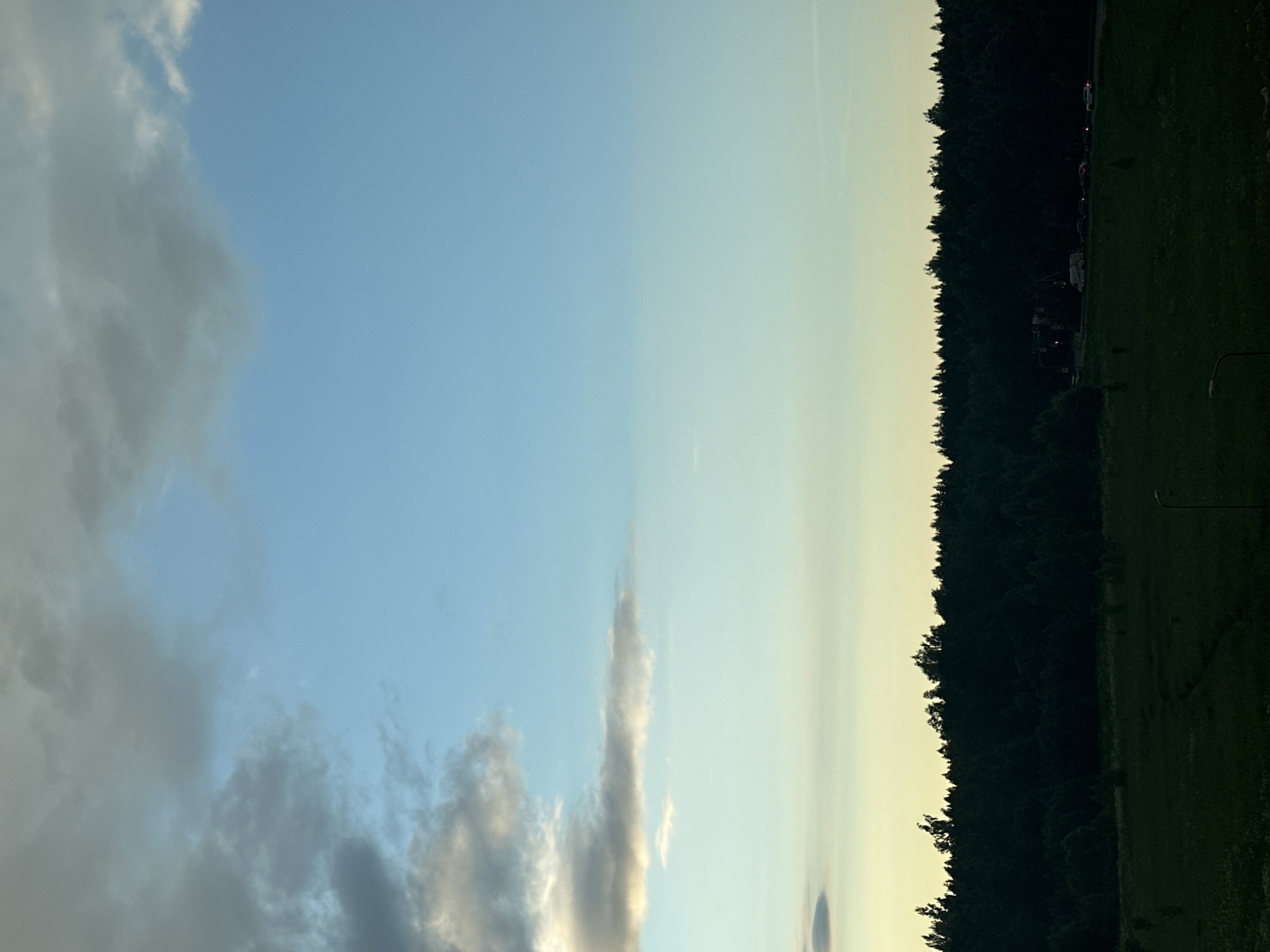 The image captures a panoramic view of a dark green forest against a pale blue sky with scattered clouds. The horizon is lined with a dense coniferous forest, appearing almost black in silhouette. In the foreground, a field of grass, also dark and muted, stretches out. A faint glow is visible at the horizon, suggesting either dawn or dusk. A few distant vehicles can be seen on a road running through the trees. The scene is tranquil and expansive, with no discernible human presence. The location is Vsevolozhsk, Russia.
