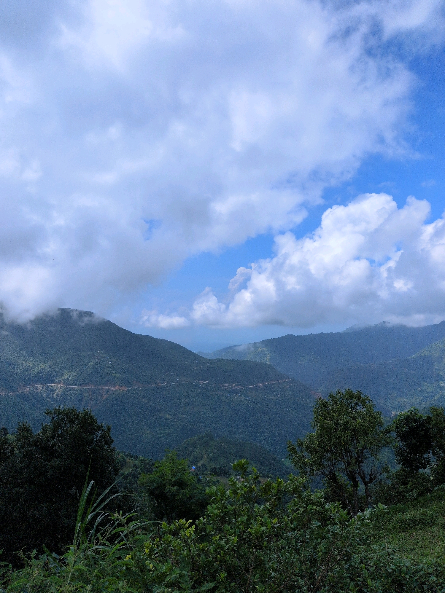 The image depicts a panoramic view of mountainous terrain in Kapurkot, Nepal. Lush green hills are covered in dense vegetation, with a winding road visible traversing the slopes. The sky is a mix of blue and white, with scattered clouds adding depth to the scene. In the foreground, a variety of trees and plants create a natural border, obscuring a portion of the landscape. The overall impression is one of natural beauty and serenity, with a sense of vastness conveyed by the expansive mountain ranges. There are no people or animals visible in the image, nor any specific human activities taking place. The focus is entirely on the natural environment.