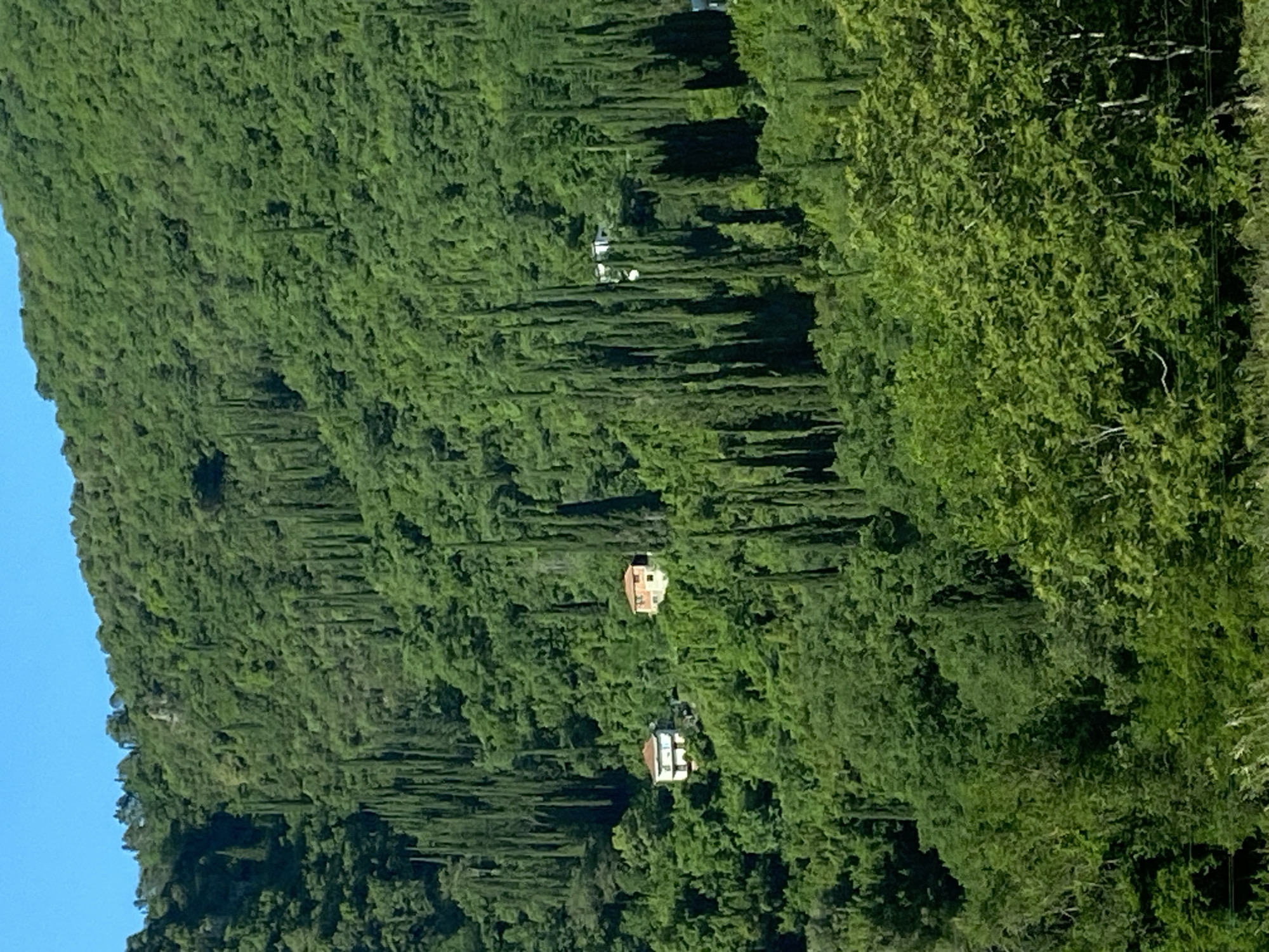 The image shows a steep, densely vegetated hillside in Sutorina, Montenegro. The hillside is covered primarily with trees and tall, thin, cypress-like vegetation. Two houses are visible nestled in the greenery on the slope. The sky is blue on the left.
