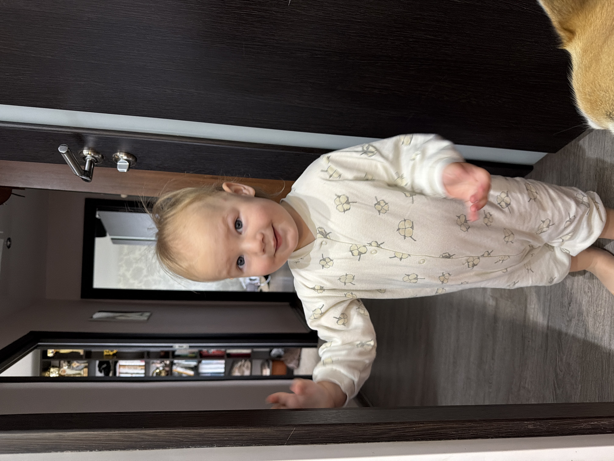 A toddler is standing in a hallway, looking at the camera and smiling. The toddler is wearing a white sleepsuit with a subtle pattern of yellow and grey flowers. The toddler is waving with their left hand. A dog's head is visible in the lower right corner of the frame. The hallway has dark brown doors and a light gray laminate floor. In the background, through an open doorway to the left, a bookshelf filled with books and trophies is visible. The location appears to be a residential interior in Chaikovsky, Russia.