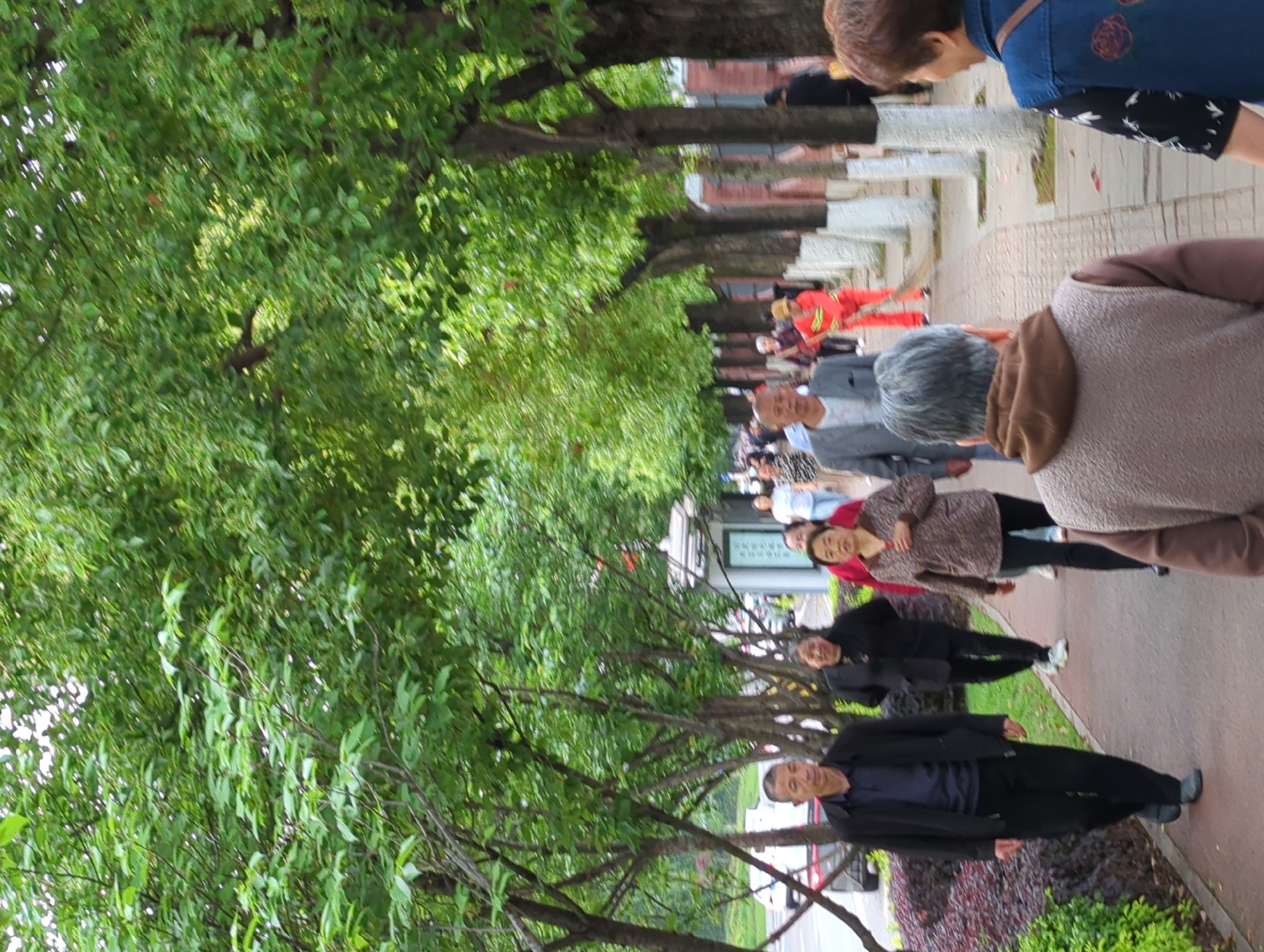 The image depicts a lively outdoor scene along a tree-lined pathway in Jiangjin, China. Numerous people, predominantly adults and older adults, are seen walking or standing on a paved path that stretches into the distance.
On the left side of the frame, a long row of mature trees with dense green foliage forms a canopy, providing shade. Along the right edge of the pathway, dark reddish-brown bushes add to the landscaping.
In the immediate foreground, a person with short grey hair, wearing a brown hooded vest, is seen from behind, walking away from the viewer. Slightly ahead of them, a man in a black jacket and dark pants walks forward, facing the camera. Further down the path, a woman in a patterned top and red undershirt with dark pants is visible, along with another individual wearing a bright red uniform or tracksuit. Many other pedestrians are scattered along the path, engaged in casual strolls or conversations.
In the background, beyond the trees, reddish-brown buildings are partially visible. A distant sign can also be seen, though its text is illegible.
The scene appears to be taking place during the daytime, with natural light suggesting either an overcast sky or dappled sunlight filtering through the trees. The overall atmosphere is one of relaxed activity in a well-maintained public space, likely a park or pedestrian promenade.